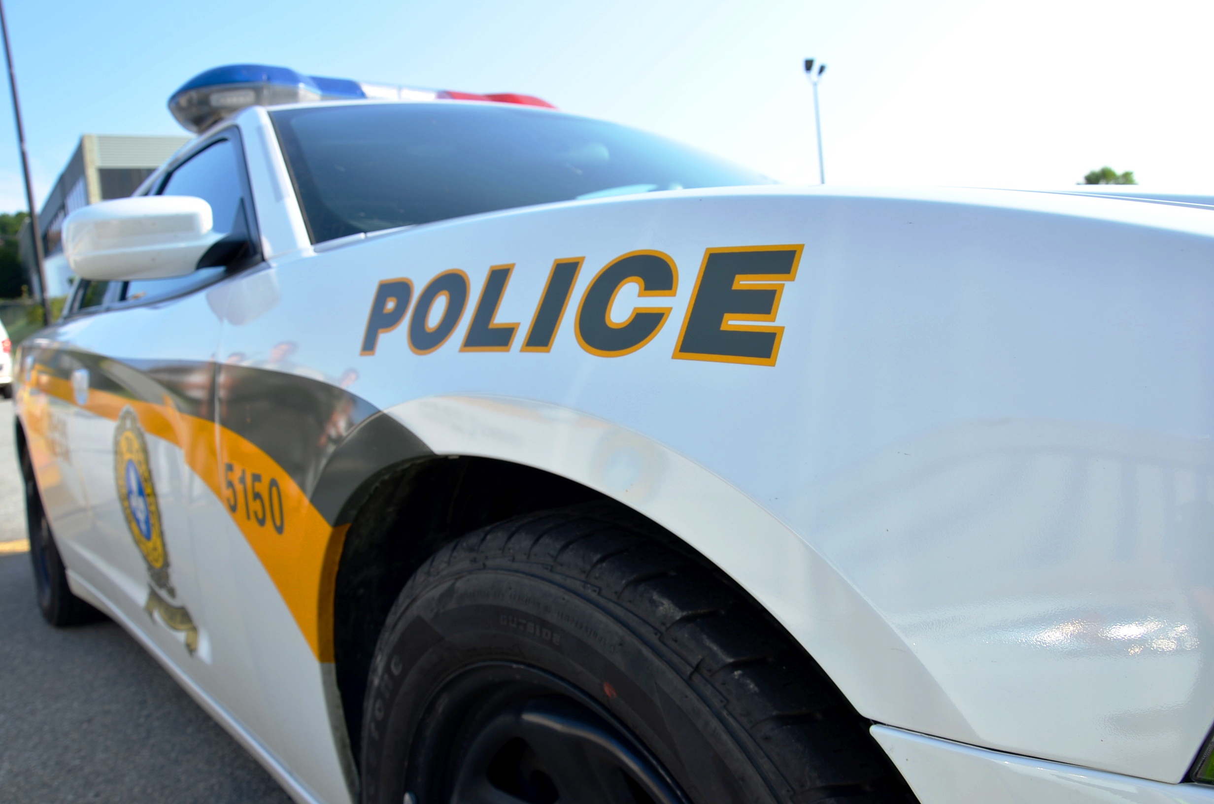 Un homme s’en prend physiquement à un chien