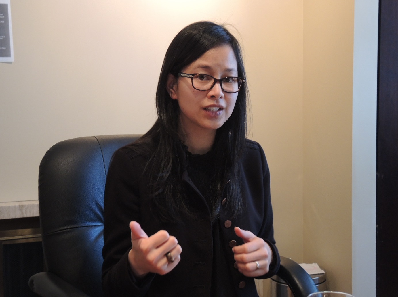 Image illustrant l'article: Paradis fiscaux, Netflix, Phénix et achat local à l'agenda de la députée Anne Quach