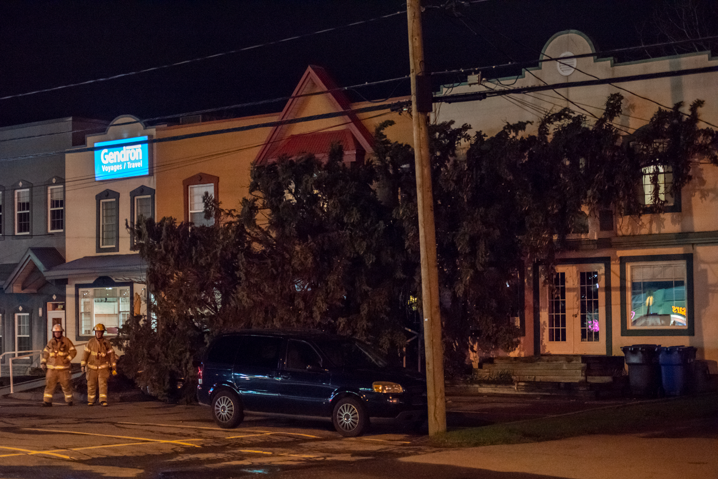 Arbres déracinés et toitures arrachées