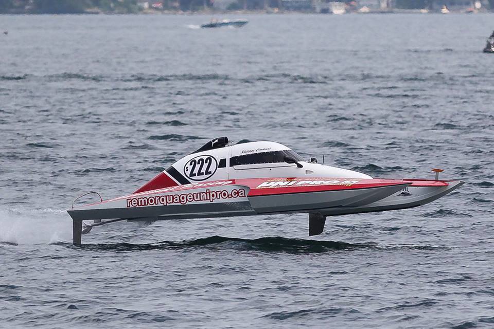 Un autre jeune loup affamé en 2,5 litres