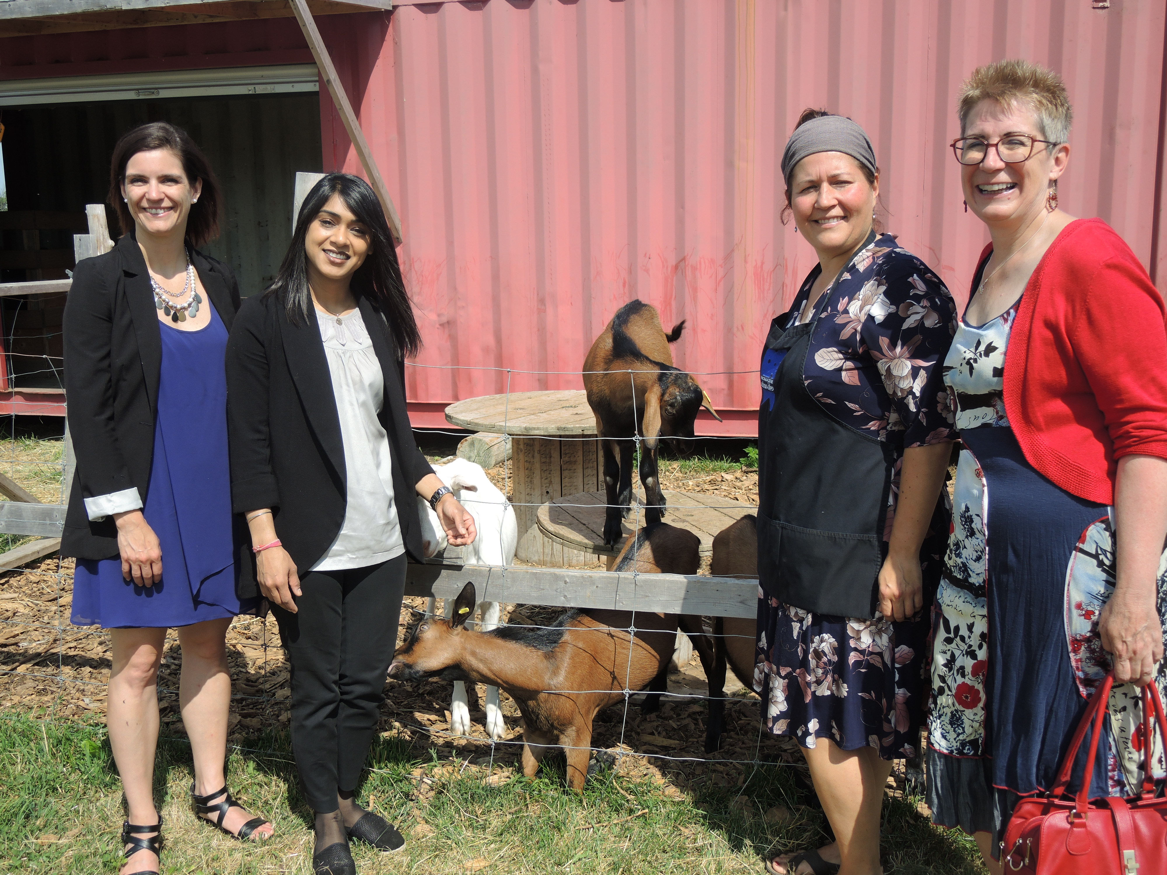 Le Circuit du Paysan fête 20 ans