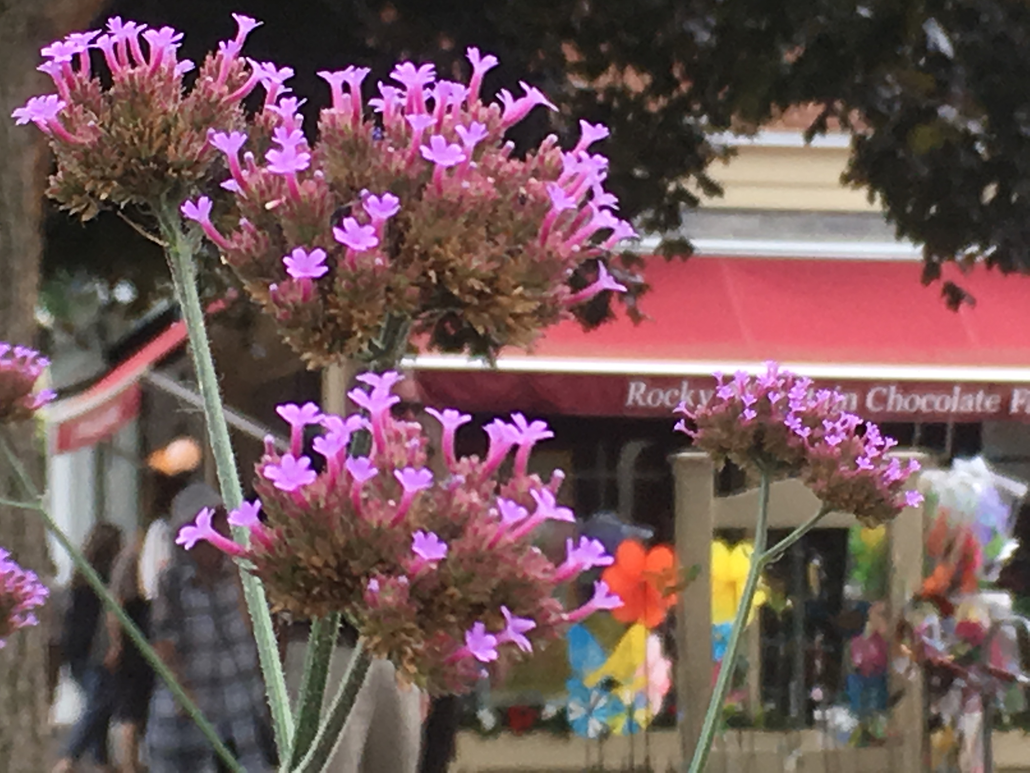 Des odeurs de souvenirs