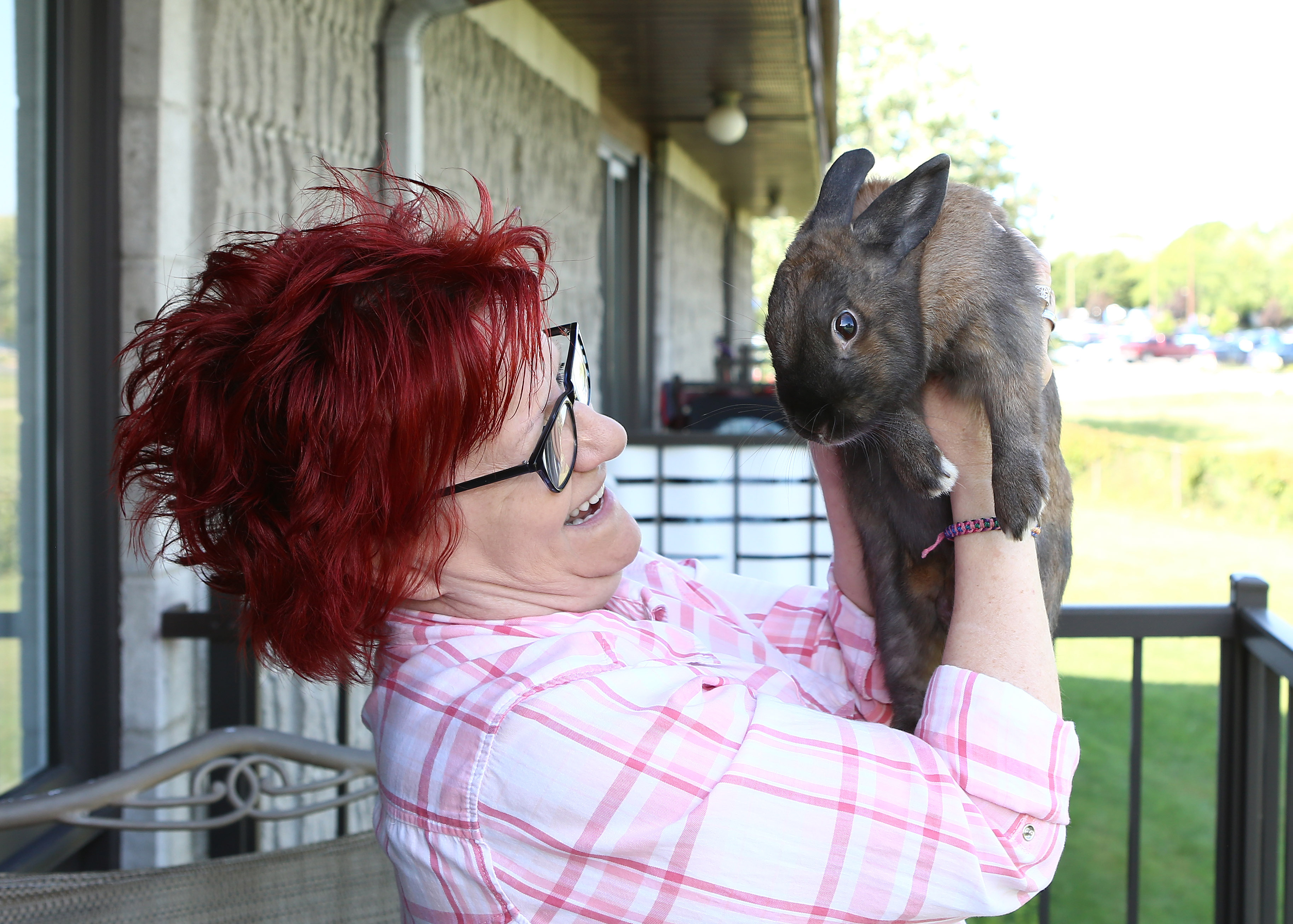 À la Régie du logement à cause de son lapin