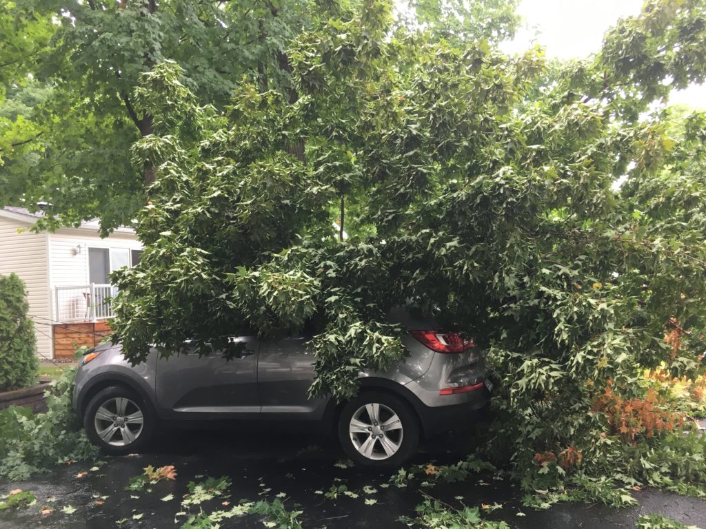 Pas de tornades, mais de forts vents ont balayé la région
