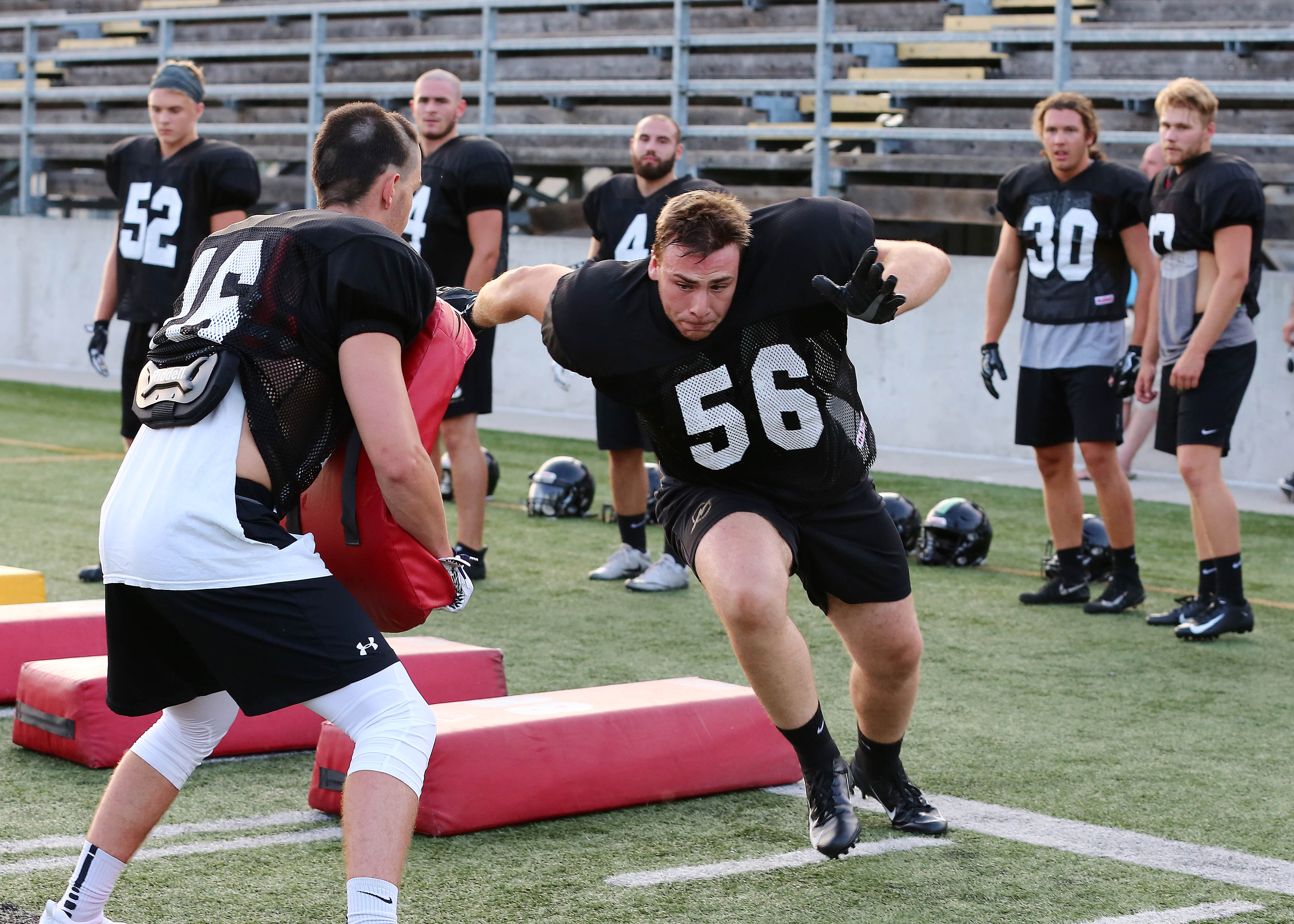 Un rare revers pour le Noir et Or