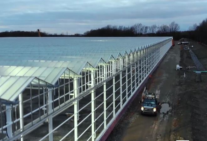 Cannabis : TGOD prévoit investir un 30 M$ supplémentaire à Valleyfield