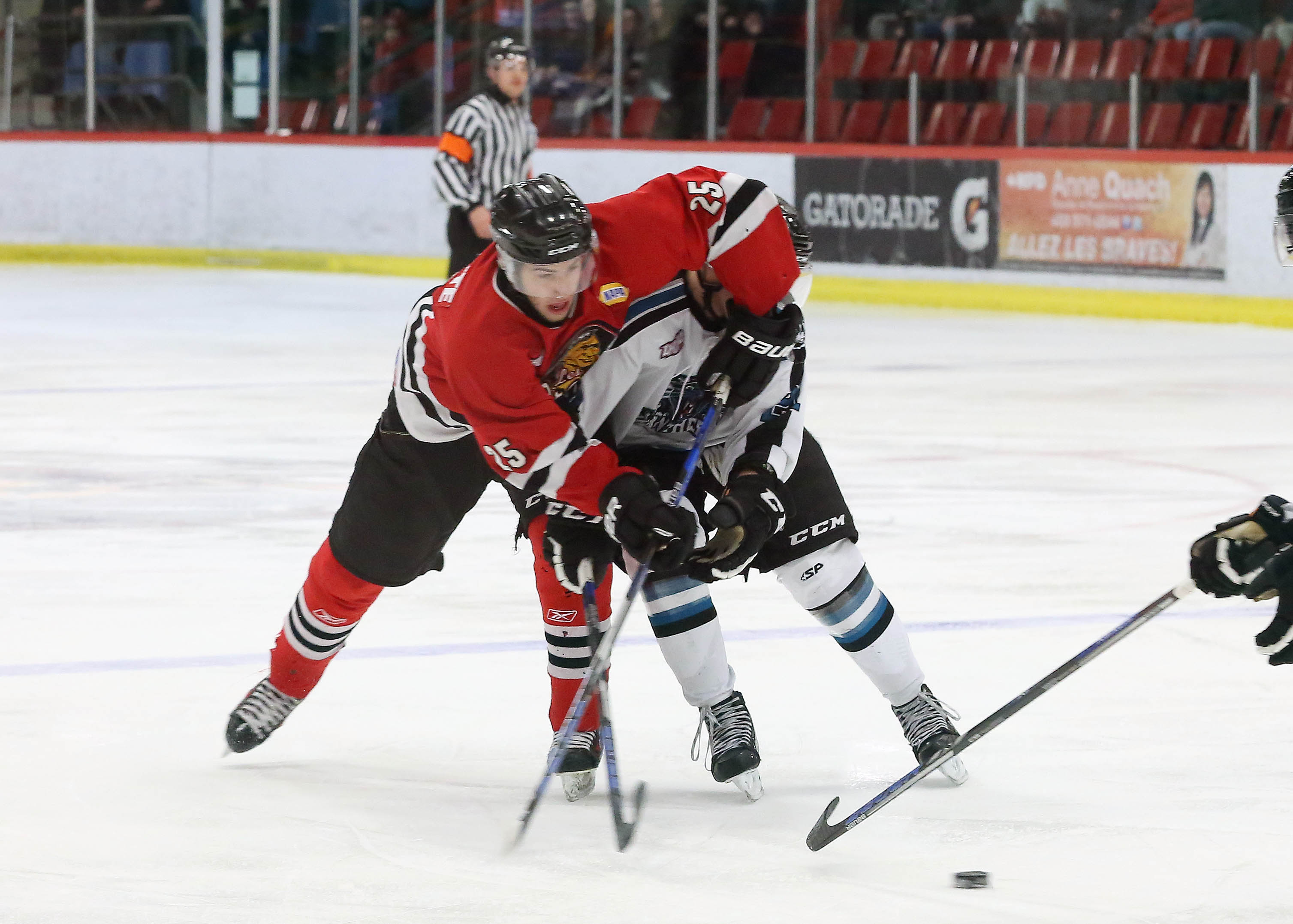 Image illustrant l'article: Les Braves ont tenu leur bout face aux Cobras