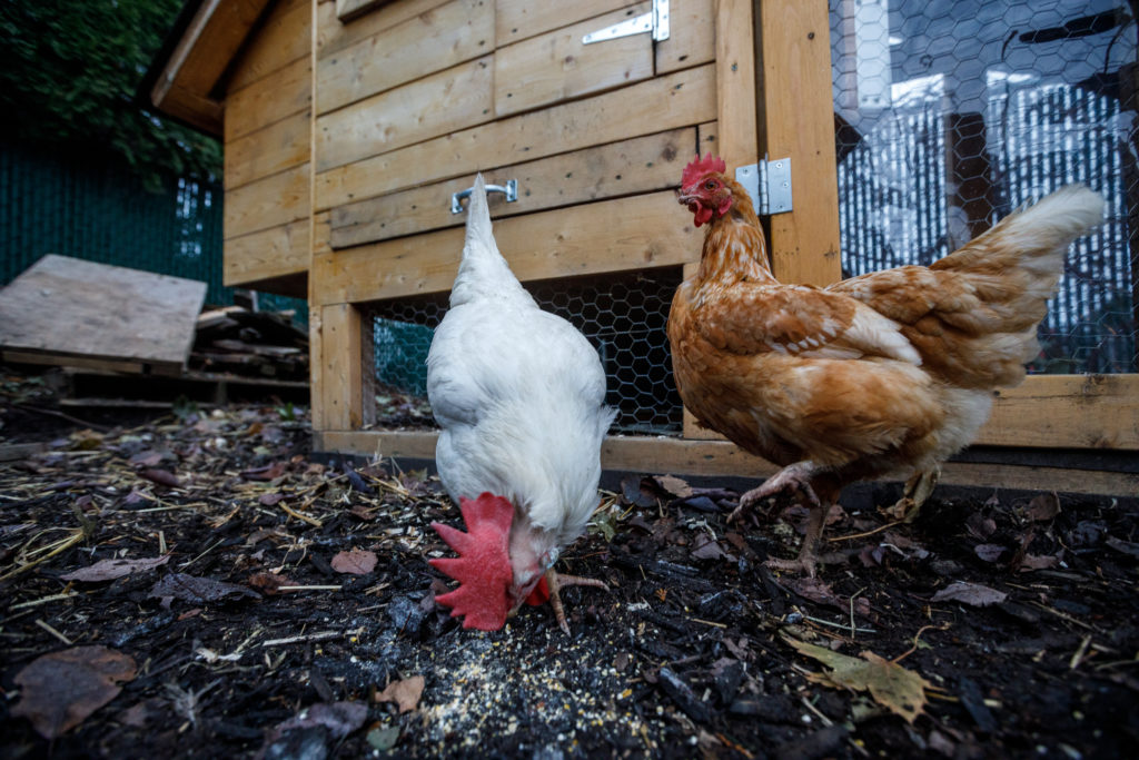 Une douzaine de nouvelles fermes ont vu le jour dans le Suroît l’an dernier