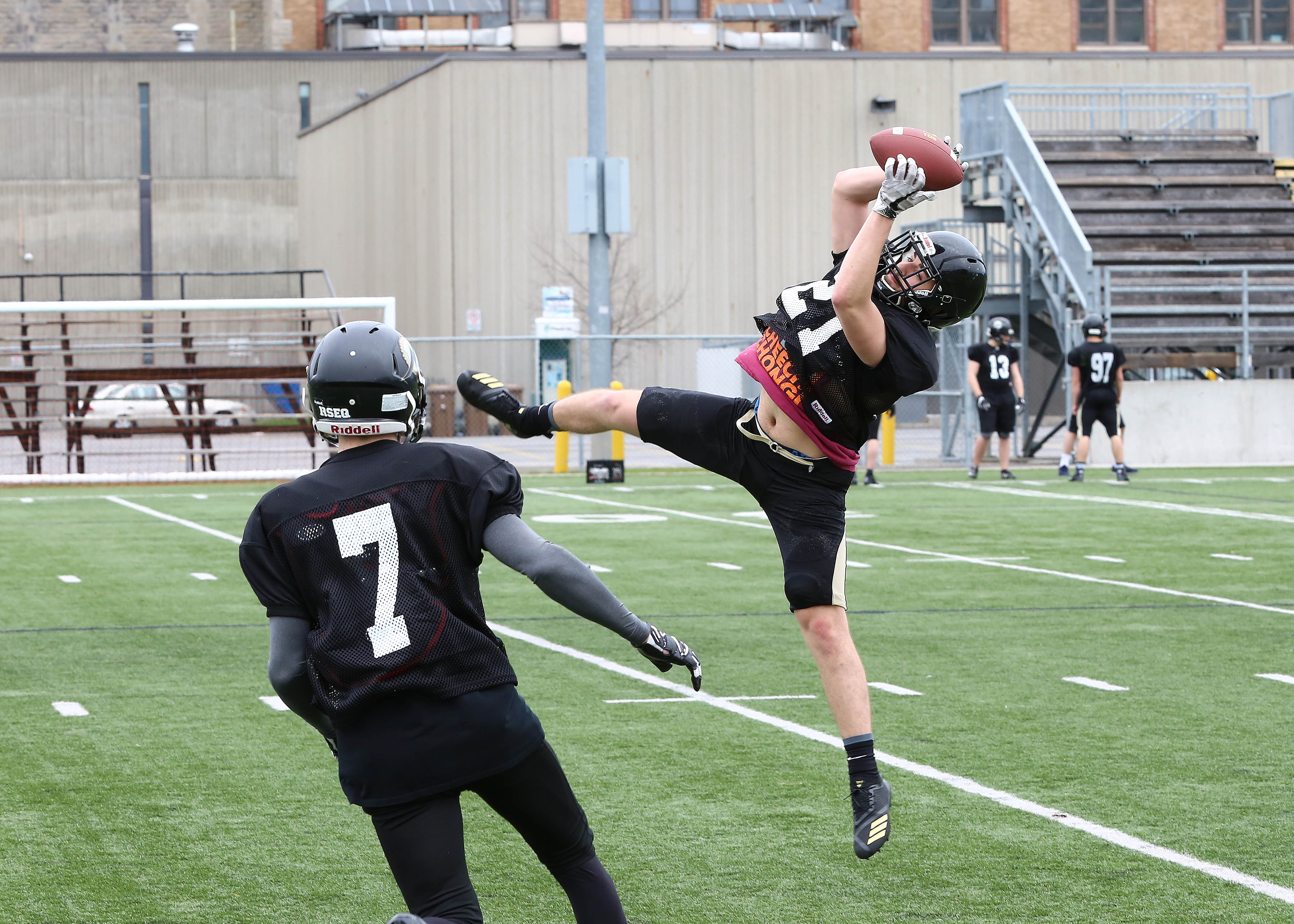 Le Noir et Or en progression