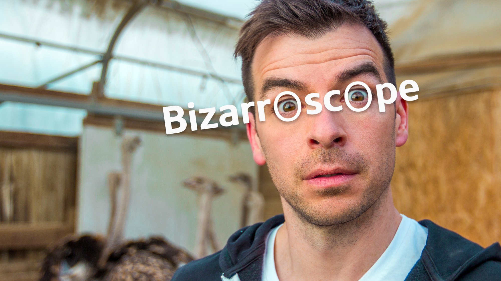 Bizarroscope intriguée par les courses de tracteurs à gazon