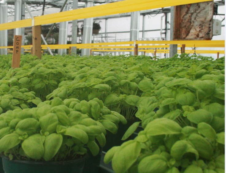 Symbiose agroalimentaire Montérégie, pour favoriser l’économie circulaire