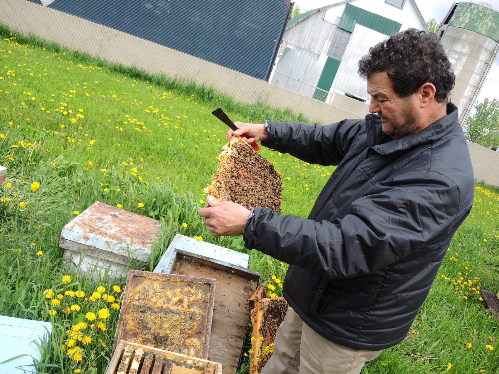 « Sans les abeilles nous n’avons rien » – Ali Agougou