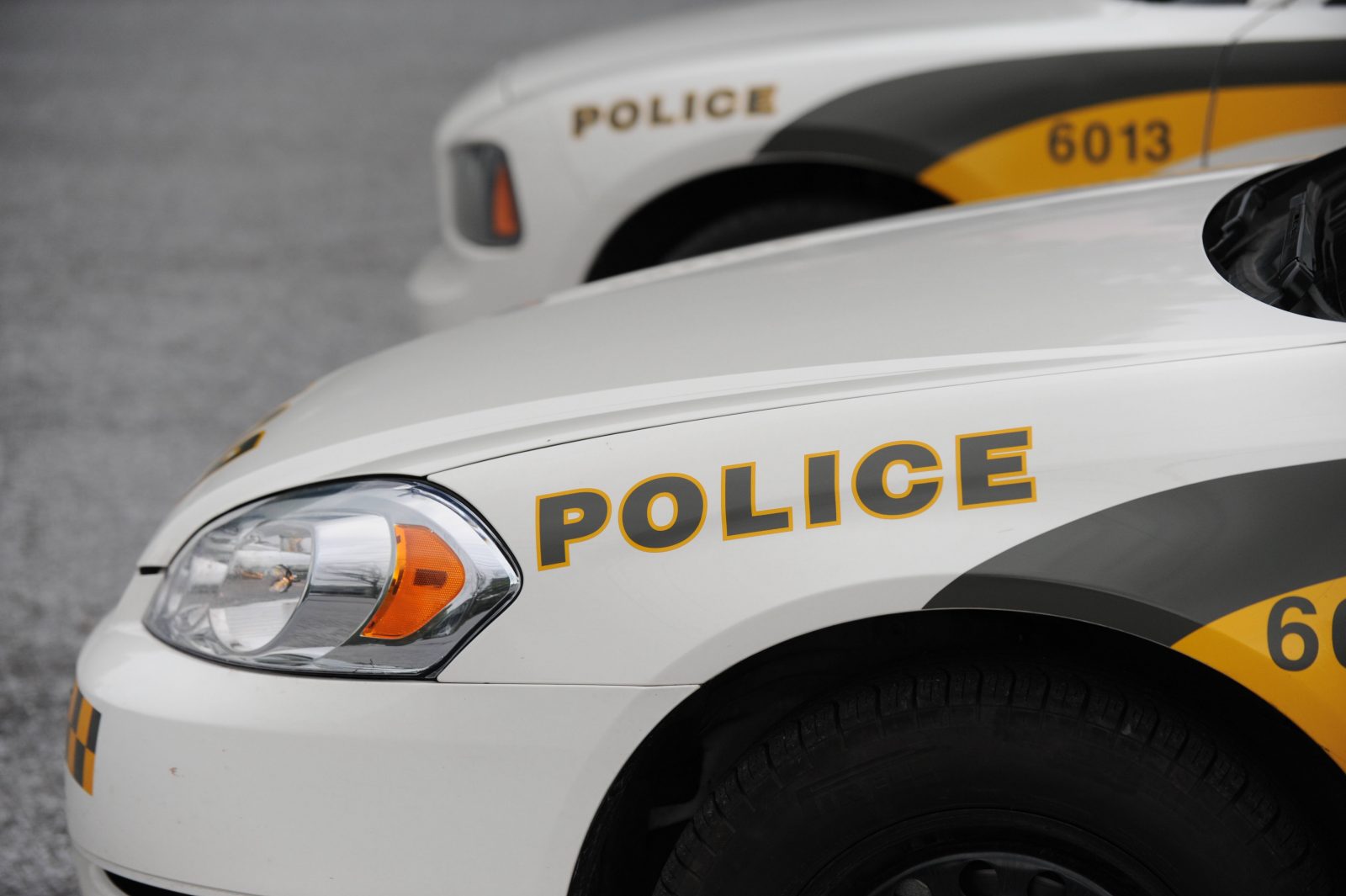 Image illustrant l'article: Sortie de route fatale pour un quadragénaire