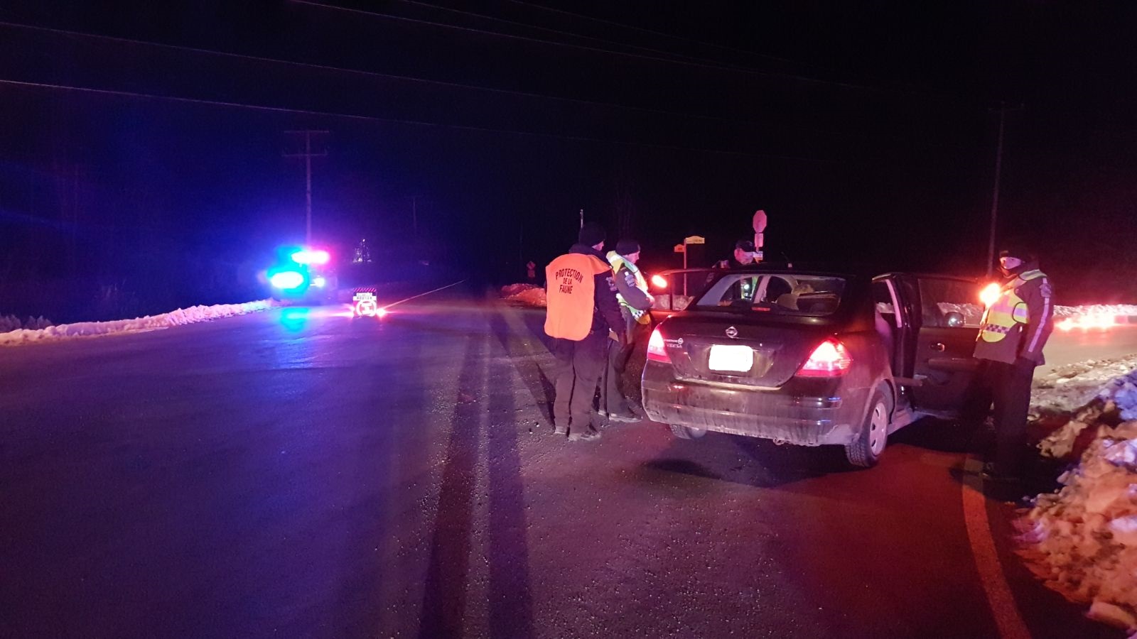 Image illustrant l'article: Deux infractions relevées par l'Escouade mixte policiers/agents de la faune