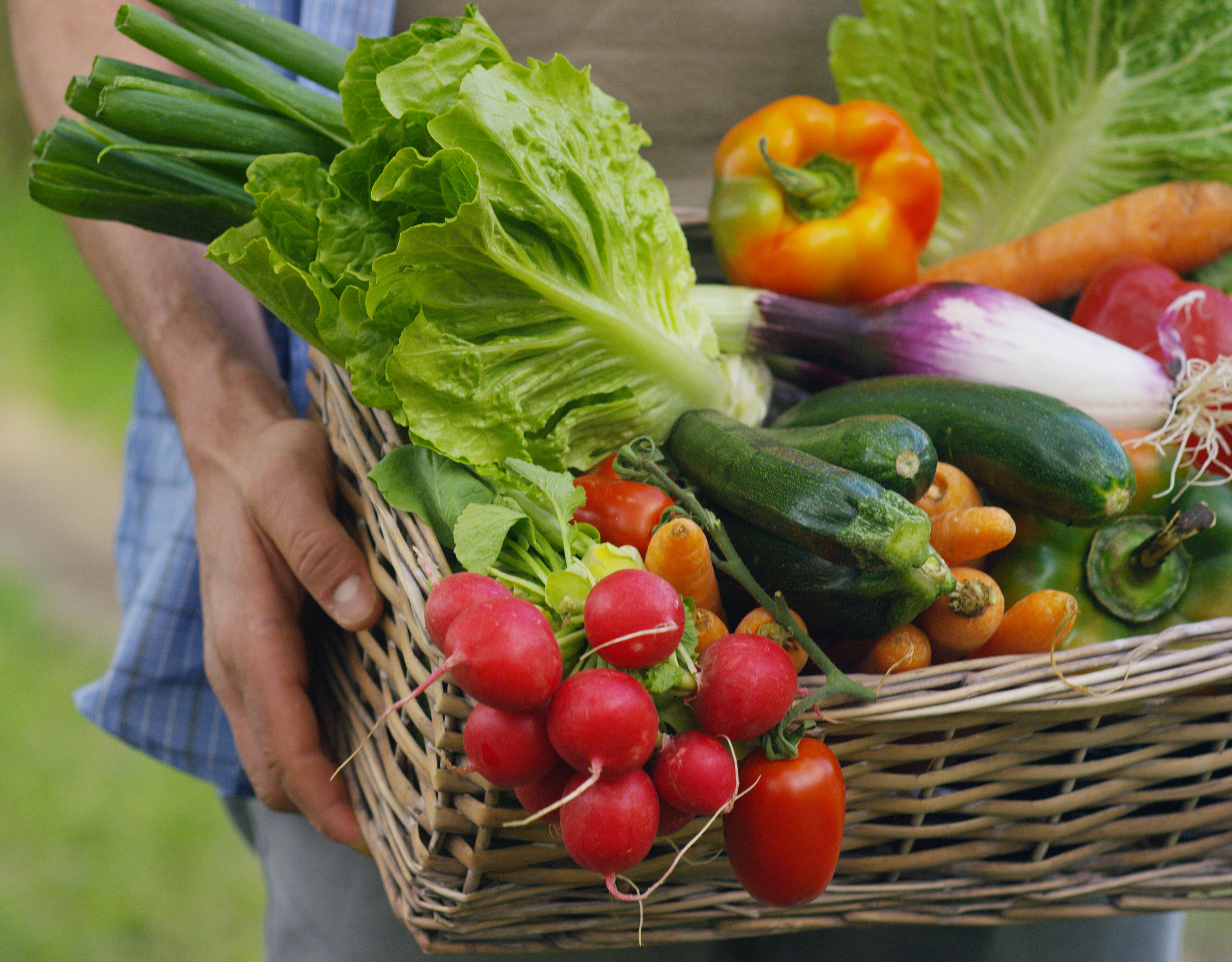 Des serres ornementales en renfort pour la production de légumes