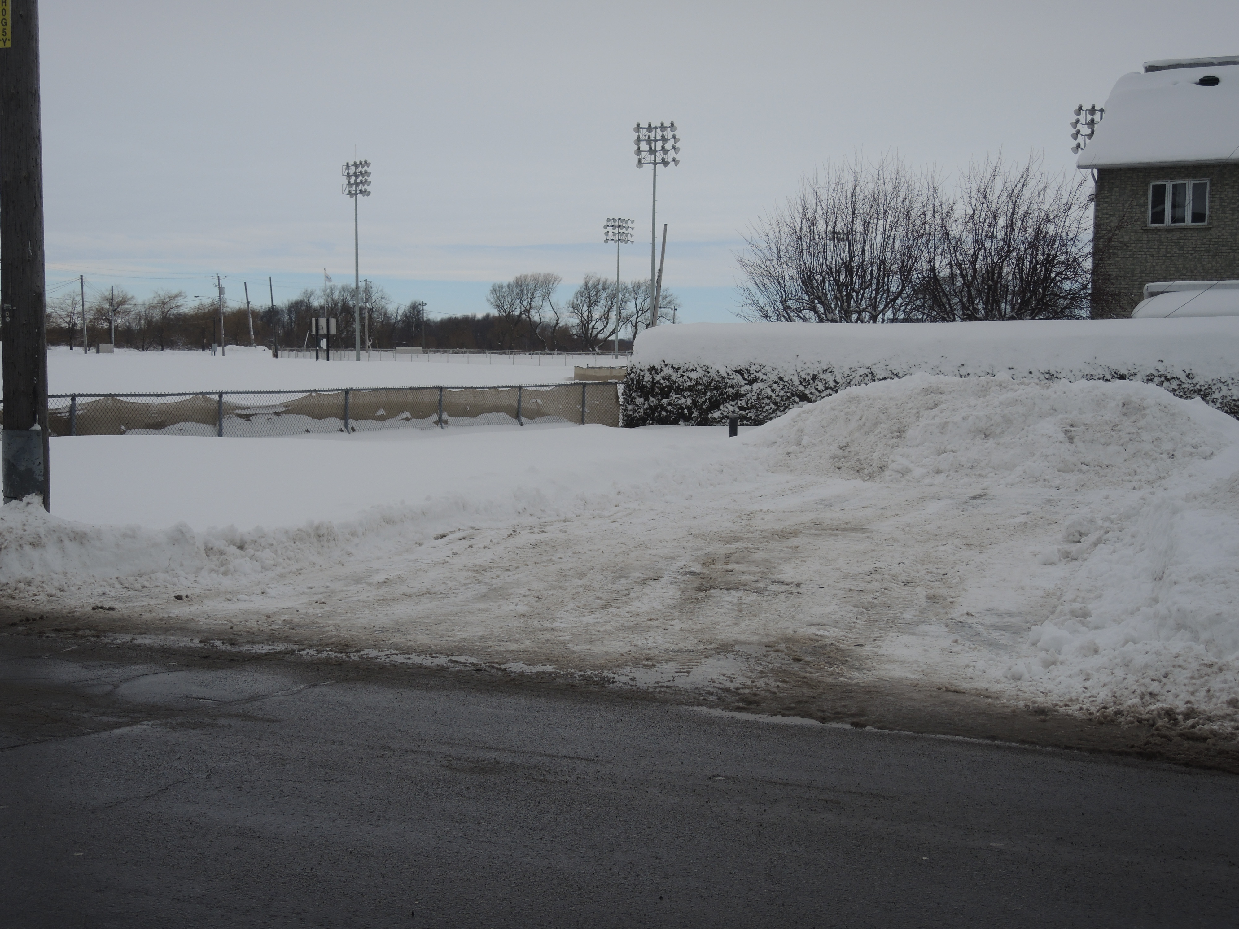 Un 2e terrain nécessaire pour la Maison des aînés