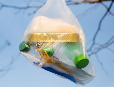 Image illustrant l'article: Grande corvée de nettoyage sur les rives de la piste cyclable Soulanges