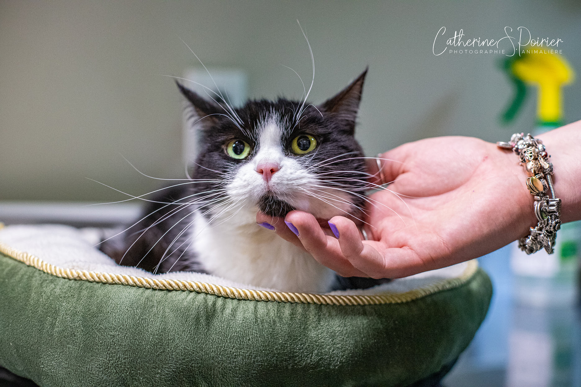 Pour de la nourriture, je ferais n&rsquo;importe quoi!