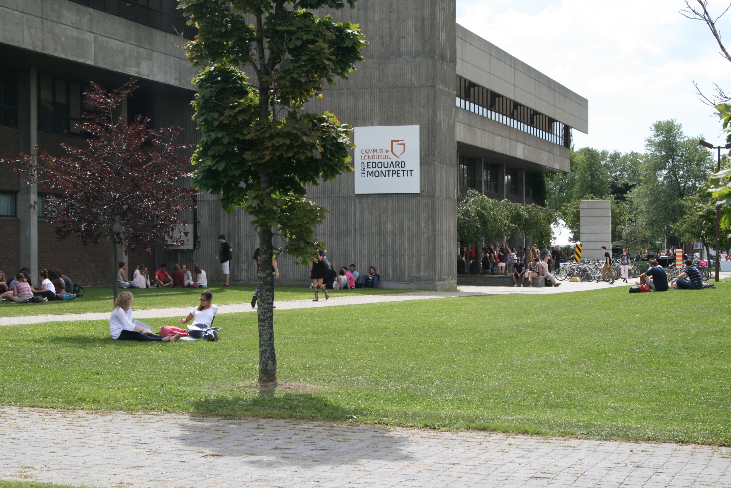 Cette publicité allemande de Noël vous fera sans doute verser quelques larmes!