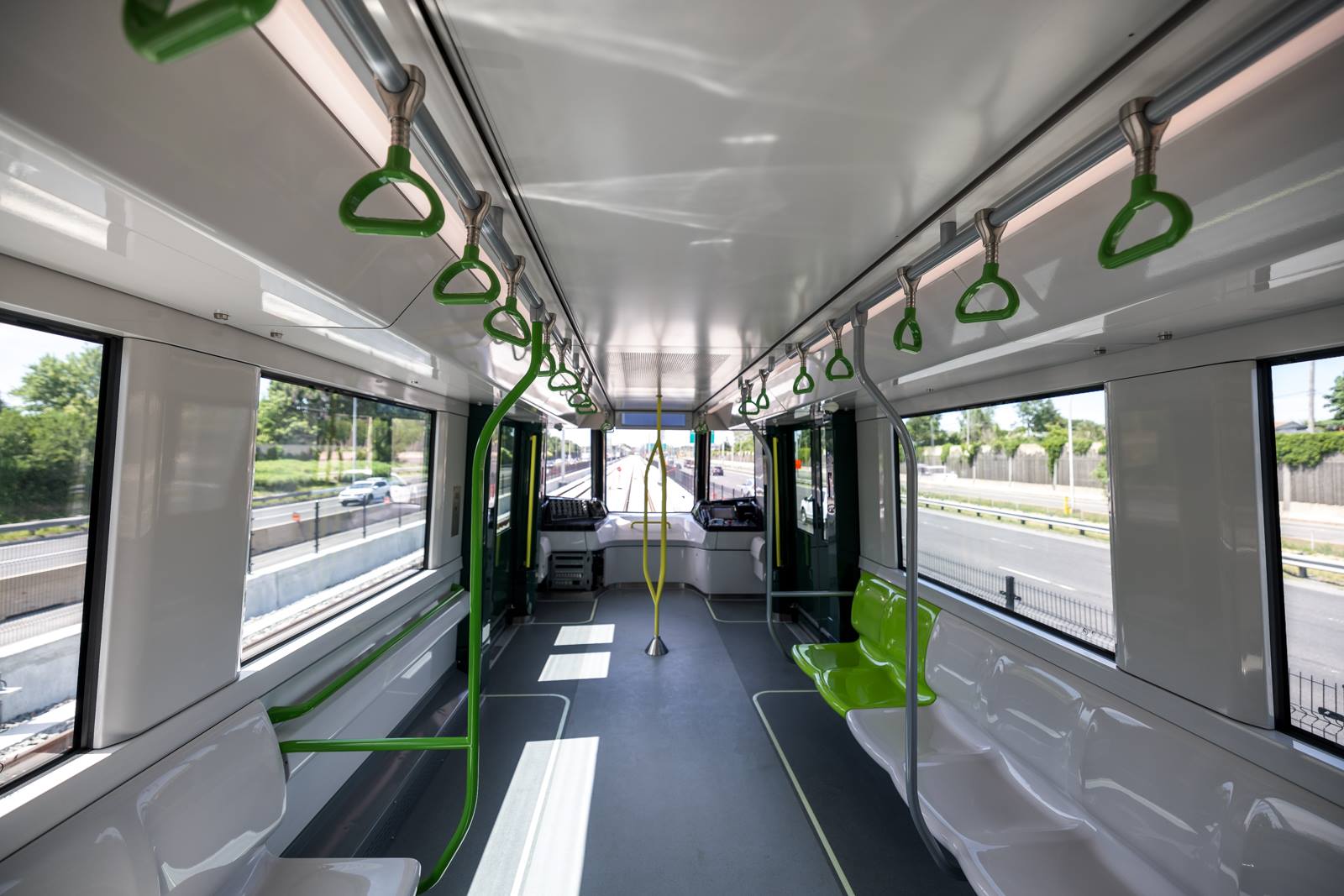 Une fausse réputation colle à tort au dos des tortues…