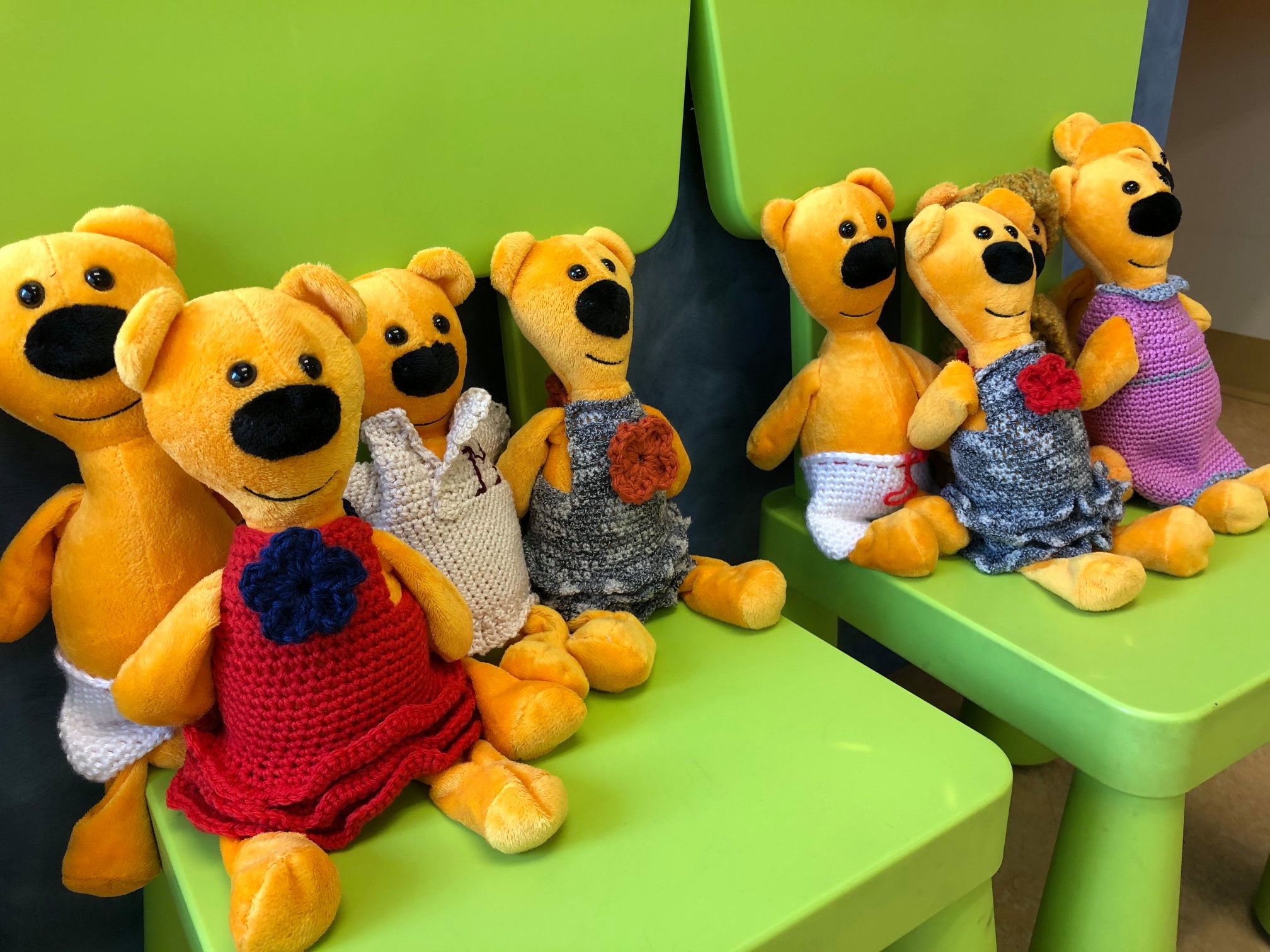 Un arrêt près de Matane pour observer les phoques dans leur milieu naturel