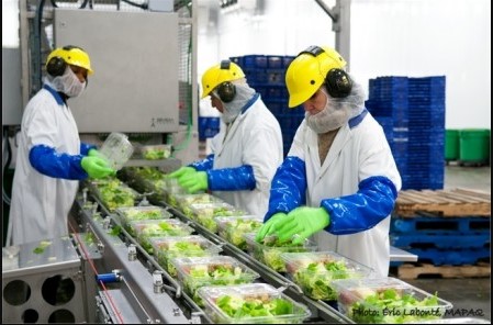 La passion des festivals n’a pas d’âge!