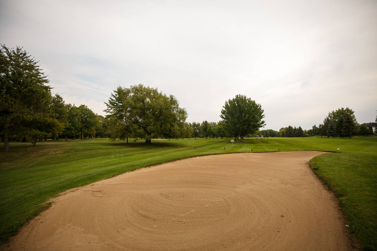 Ce chien ne veut rien savoir de la neige!