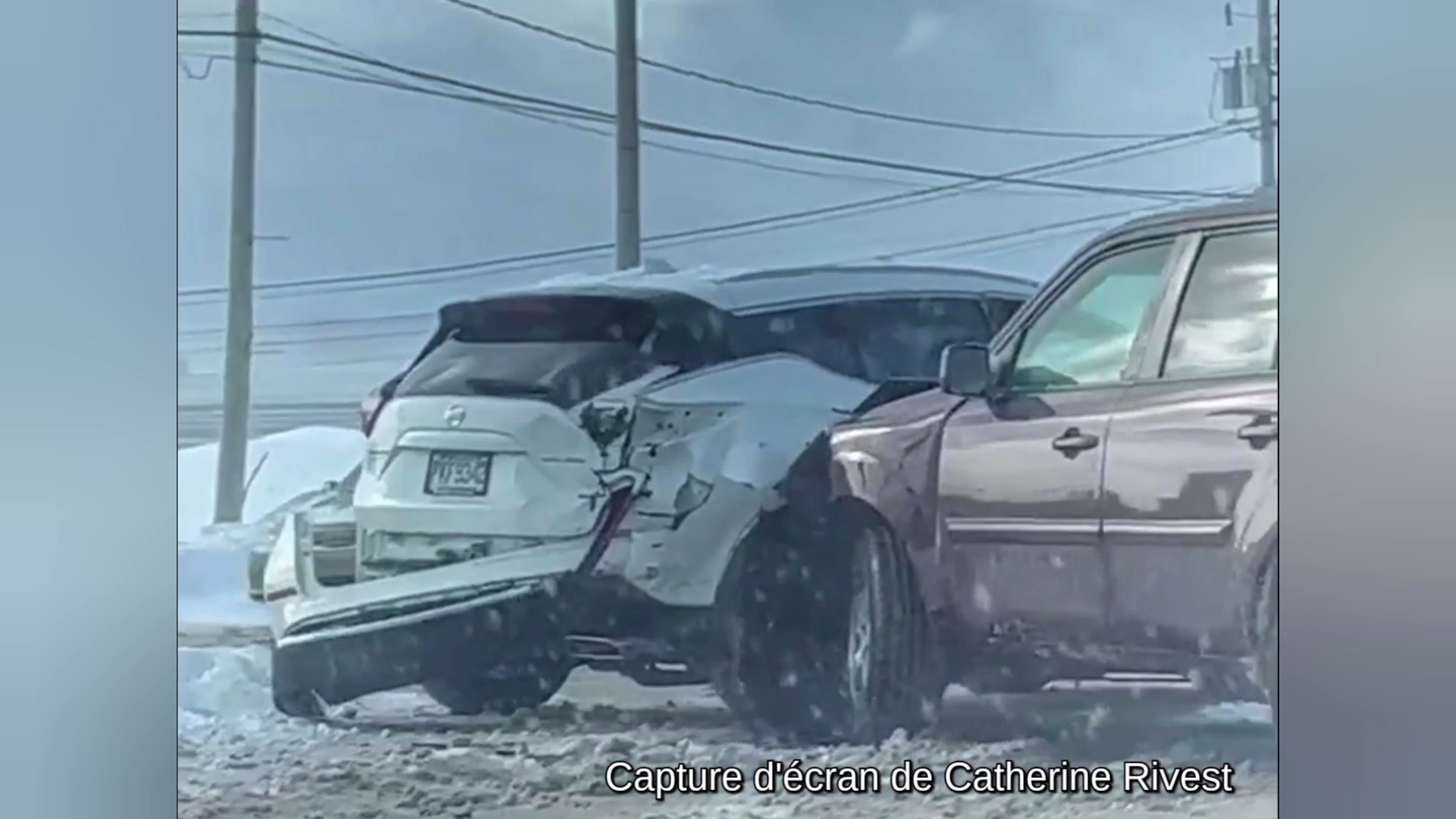 L&rsquo;exposition « Terres marginales » d&rsquo;Alyson Champ présentée à Huntingdon
