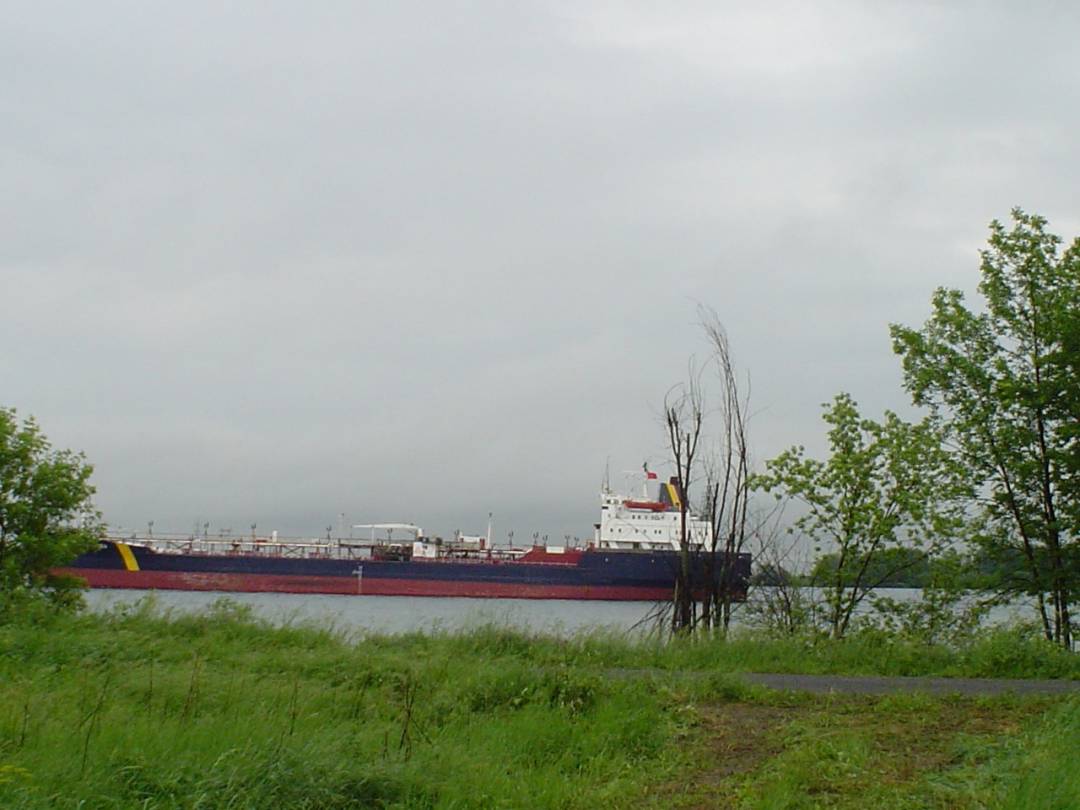 La vérité sort de la bouche des enfants… ou presque