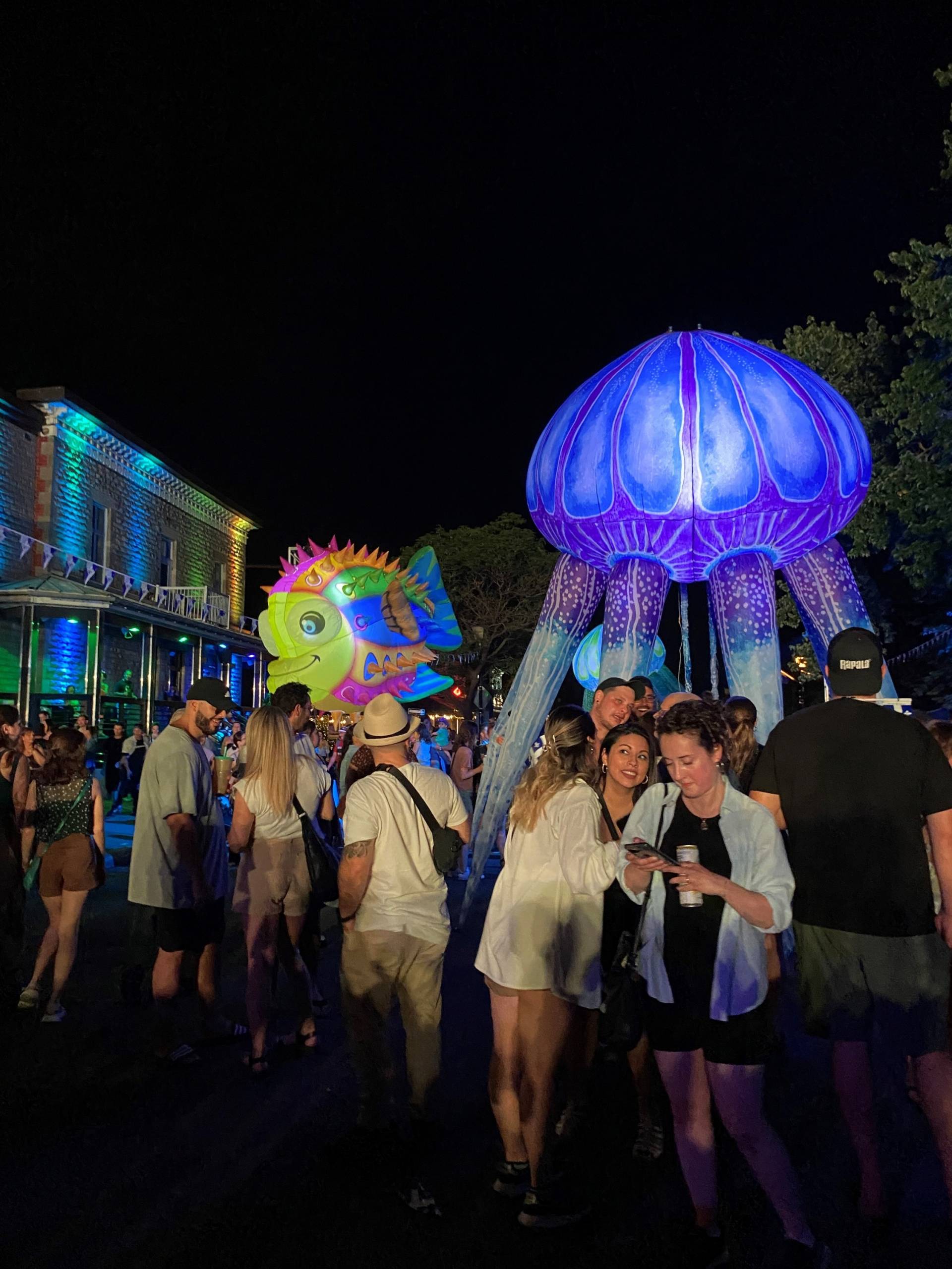 L’amour entre chien et chat, c’est loin d’être un mythe!