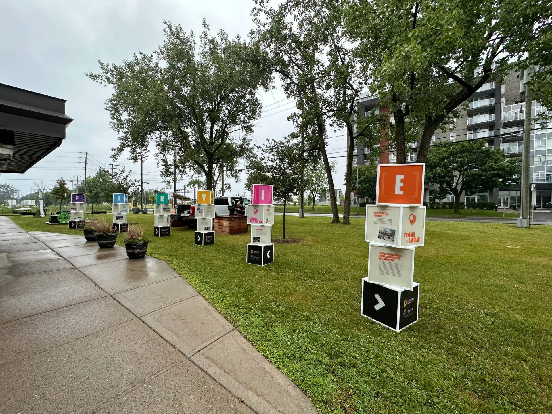 Un ours polaire qui nage