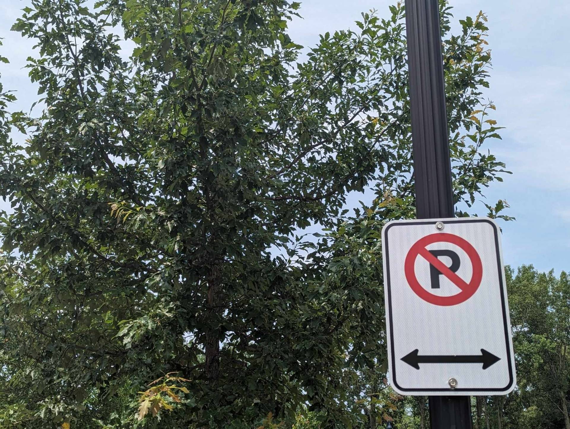 Comment signaler un bug sur Facebook ou Instagram à Meta