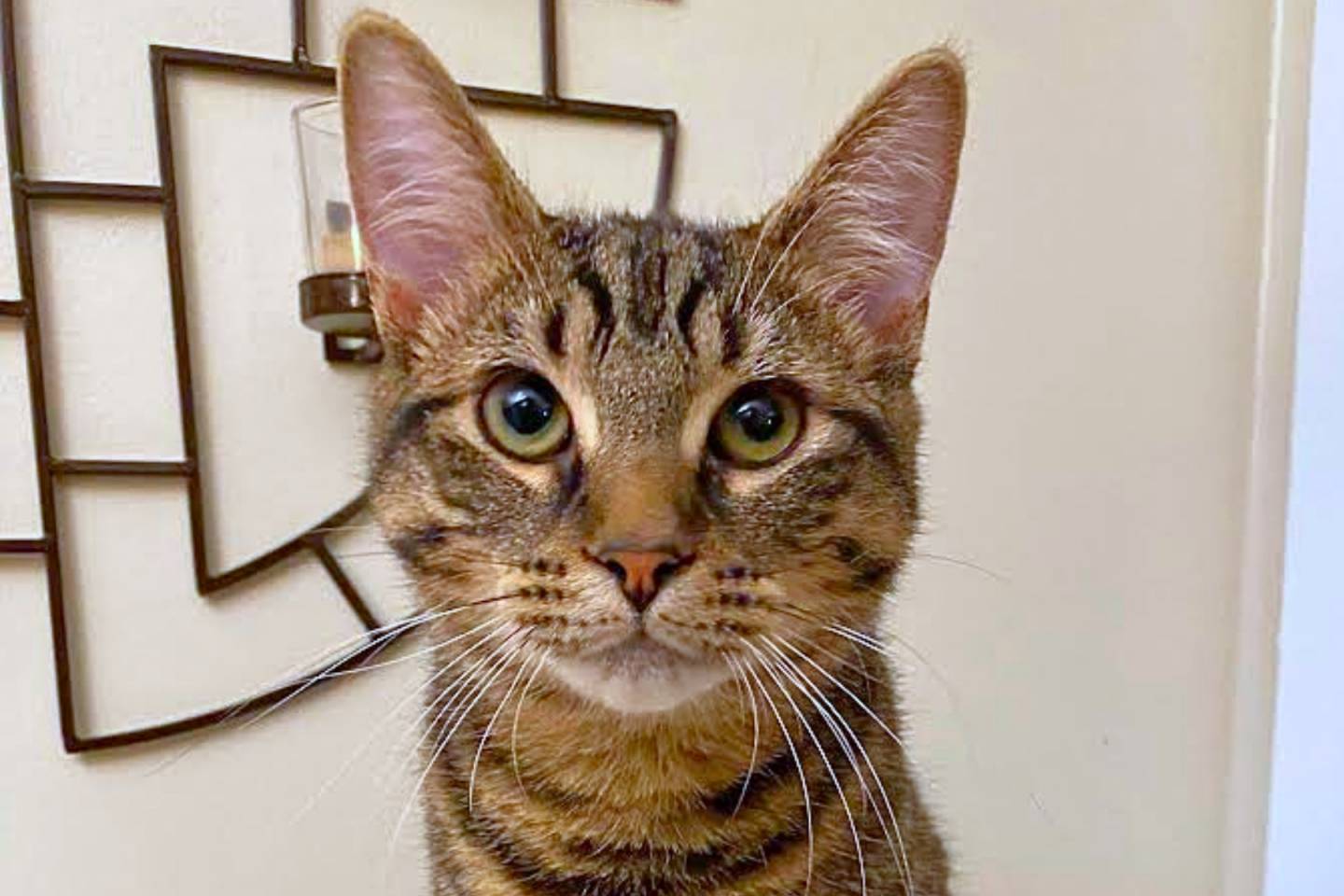 Je tremblerais de peur à sa place!