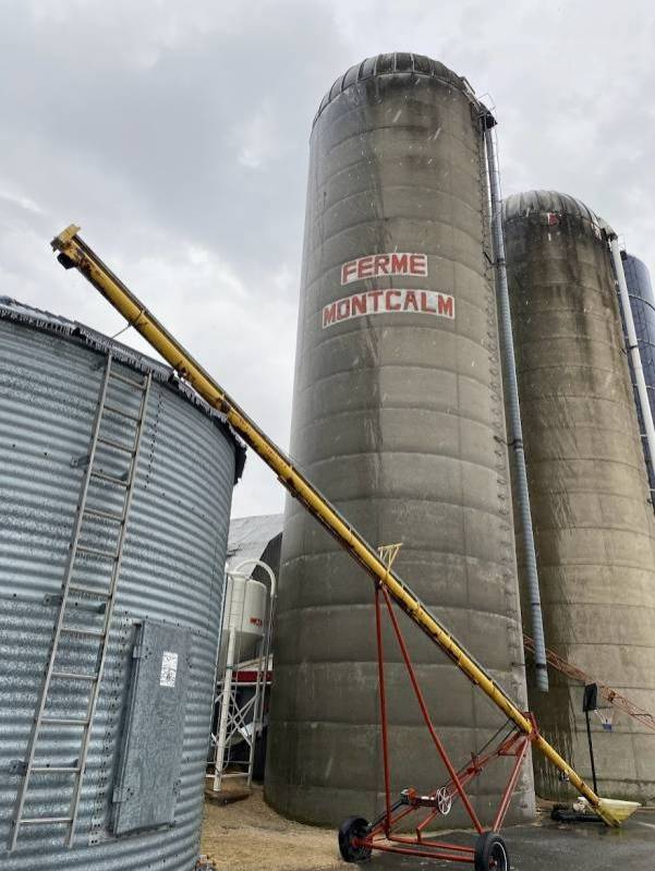 Quand ton chien a froid