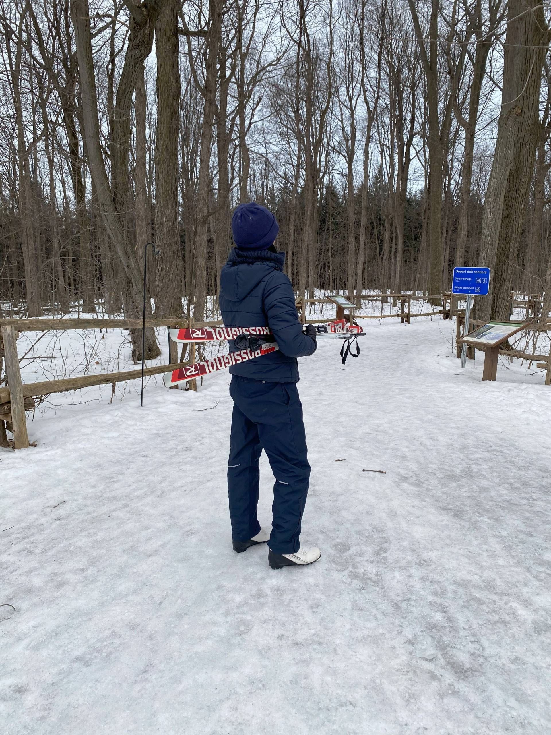 C’est le chien qui sonne à la porte