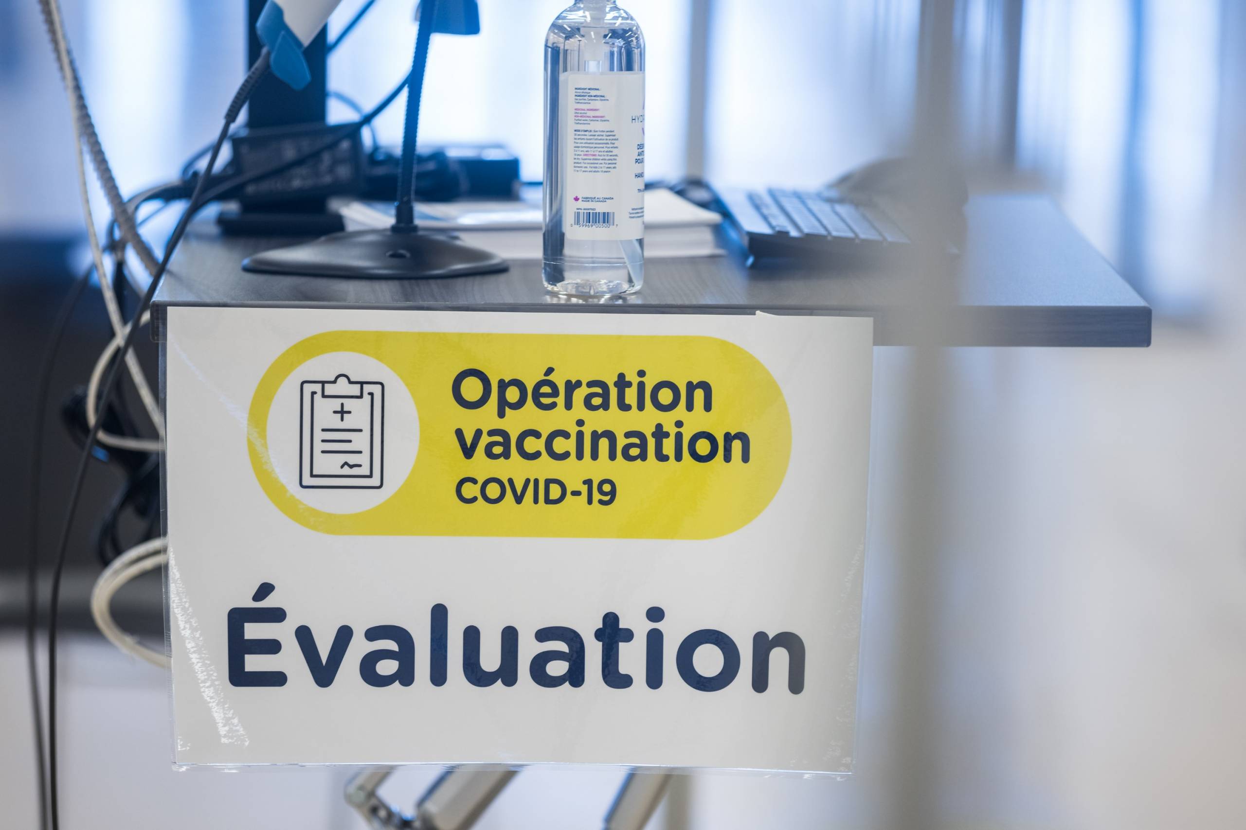 Voici le débat des oiseaux