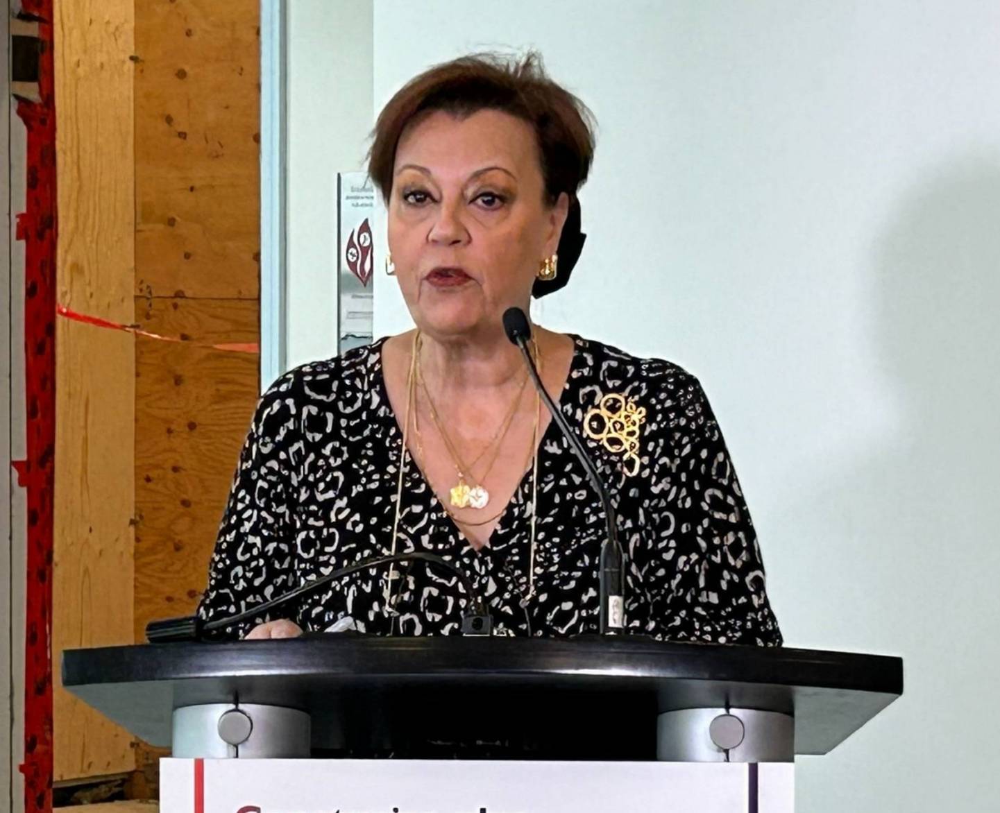 Attention, un ours arrive!