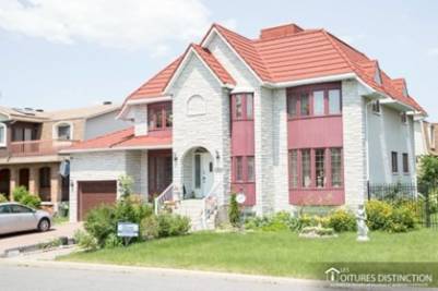 Chats gourmands et intelligents