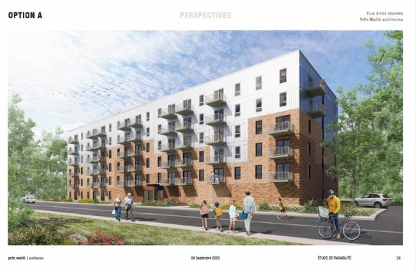 Un petit garçon s&rsquo;amuse avec son meilleur ami