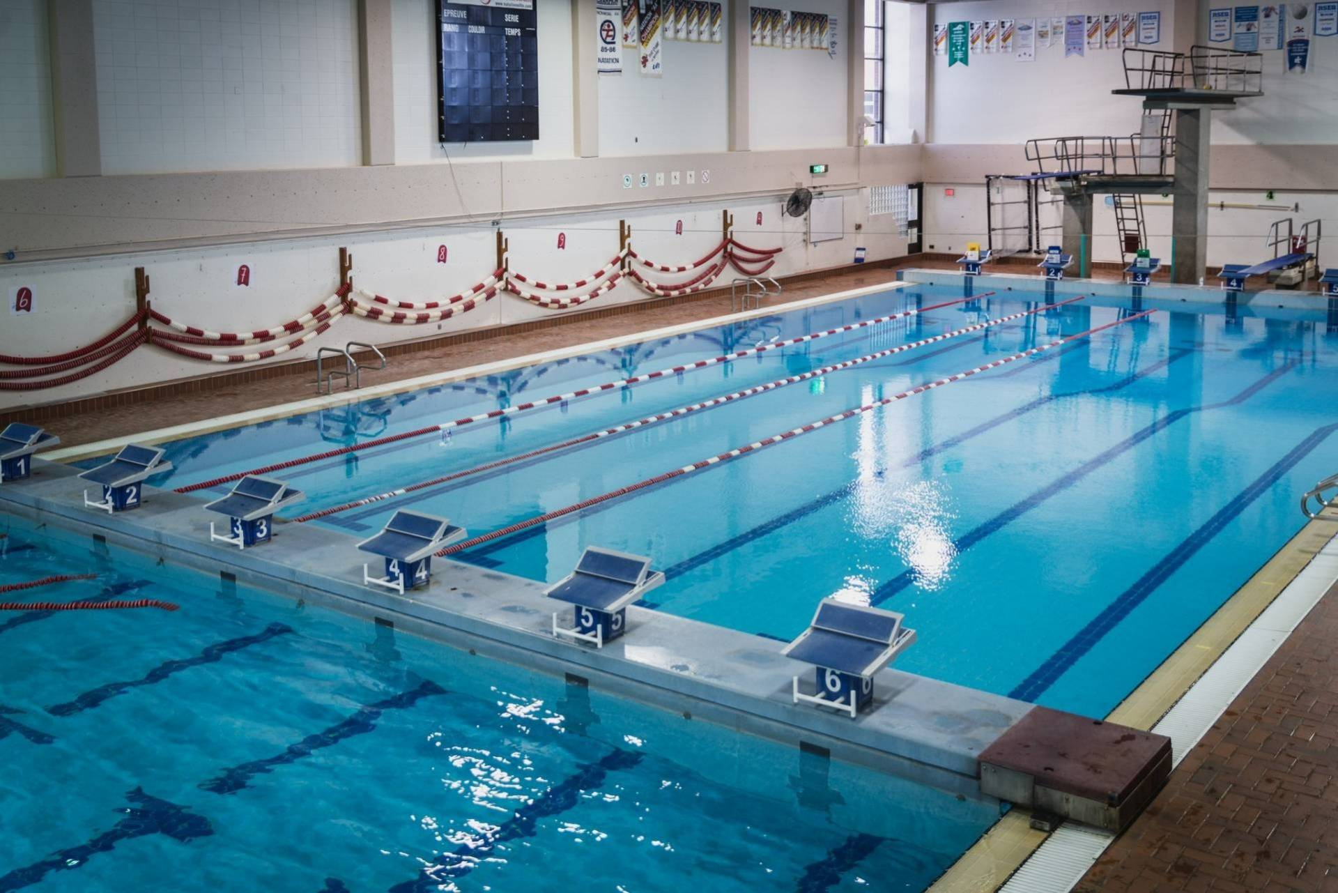 Une tortue se déplace en planche à roulettes