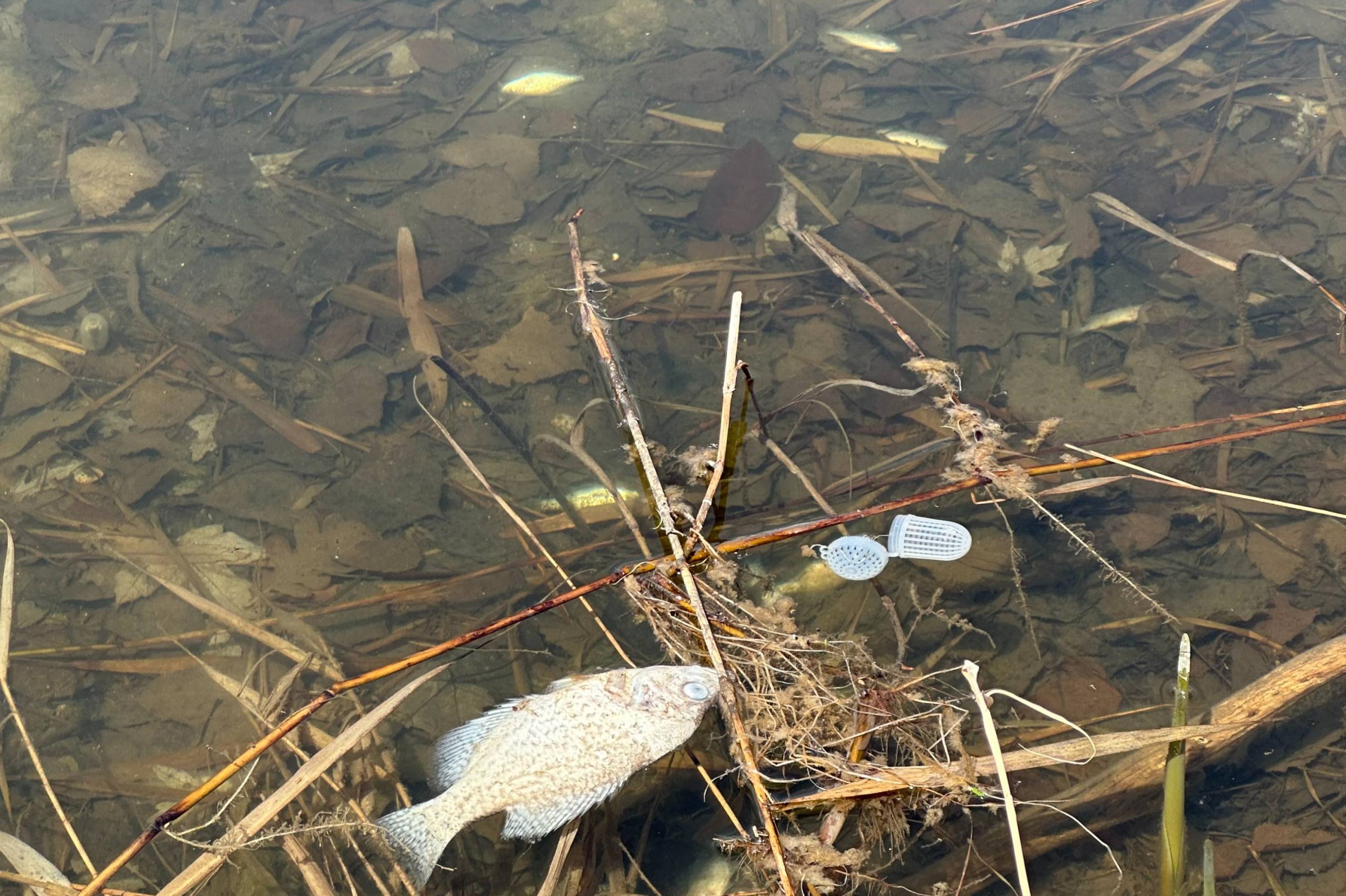 Bien confortable sur la fenêtre