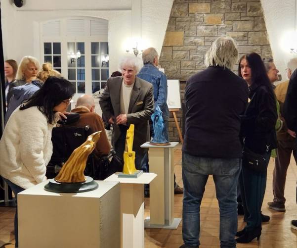 L&rsquo;amitié entre un garçon et une corneille