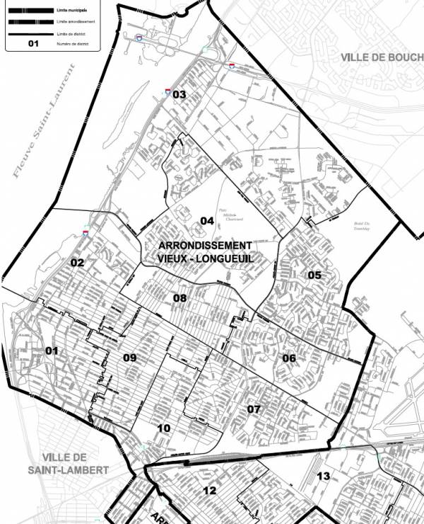 Un chaton dans une voiture attaqué par un faucon