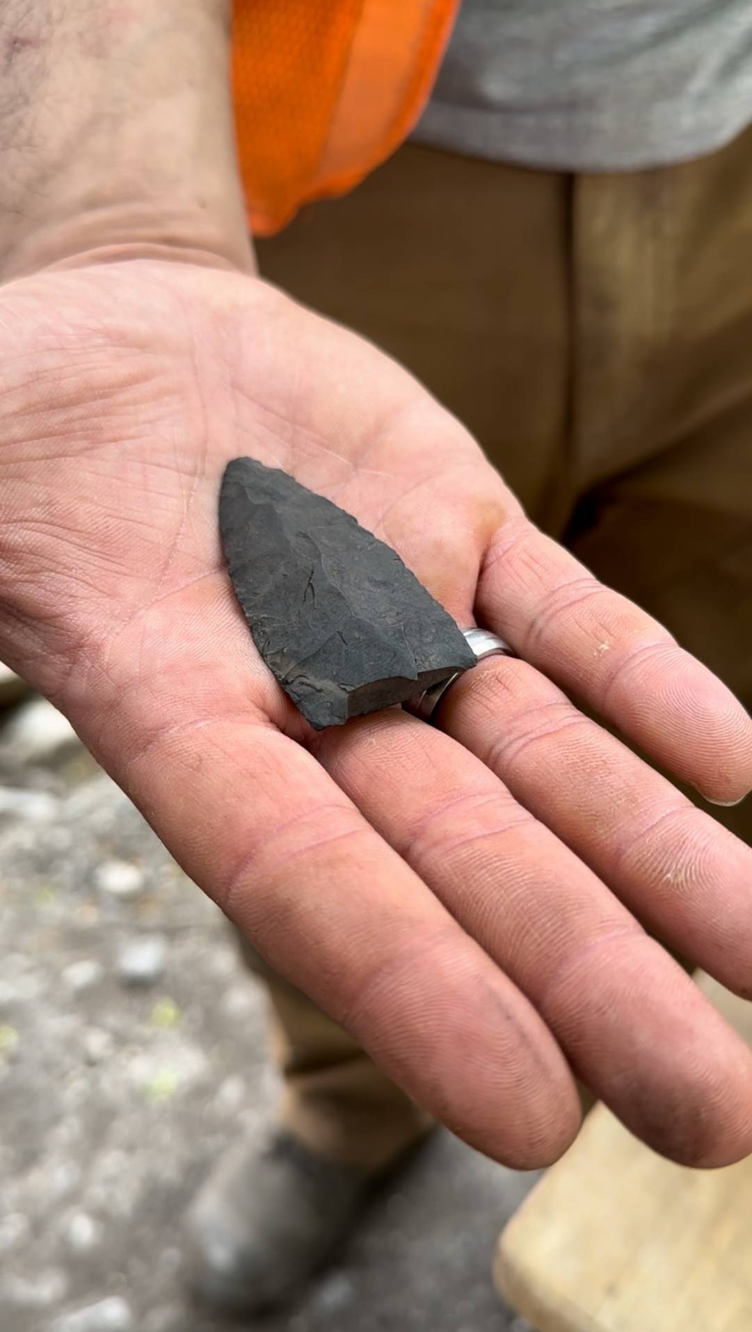 Le chat ne lâche pas le tuyau d’aspiration