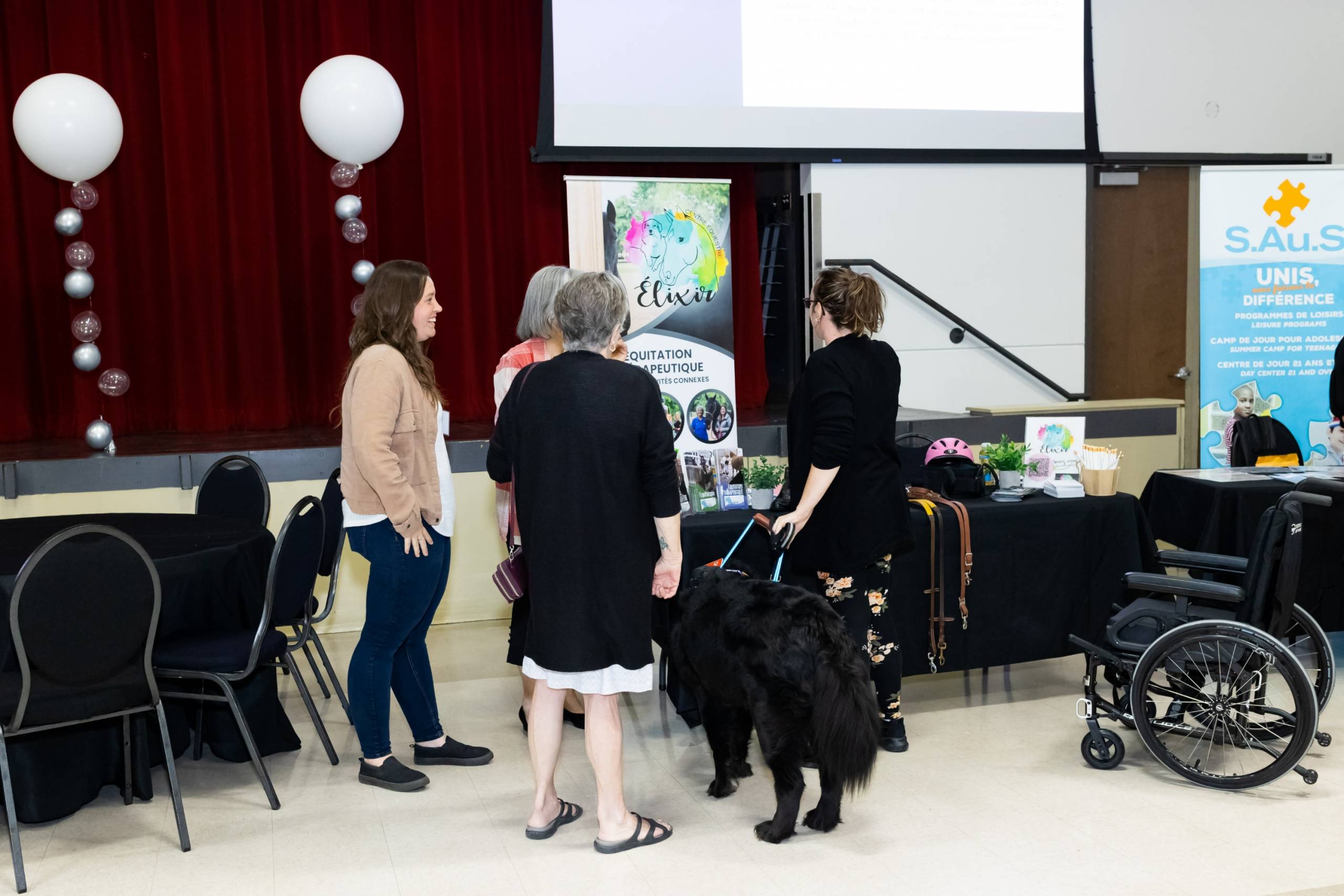 Un chien mange de la crème glacée