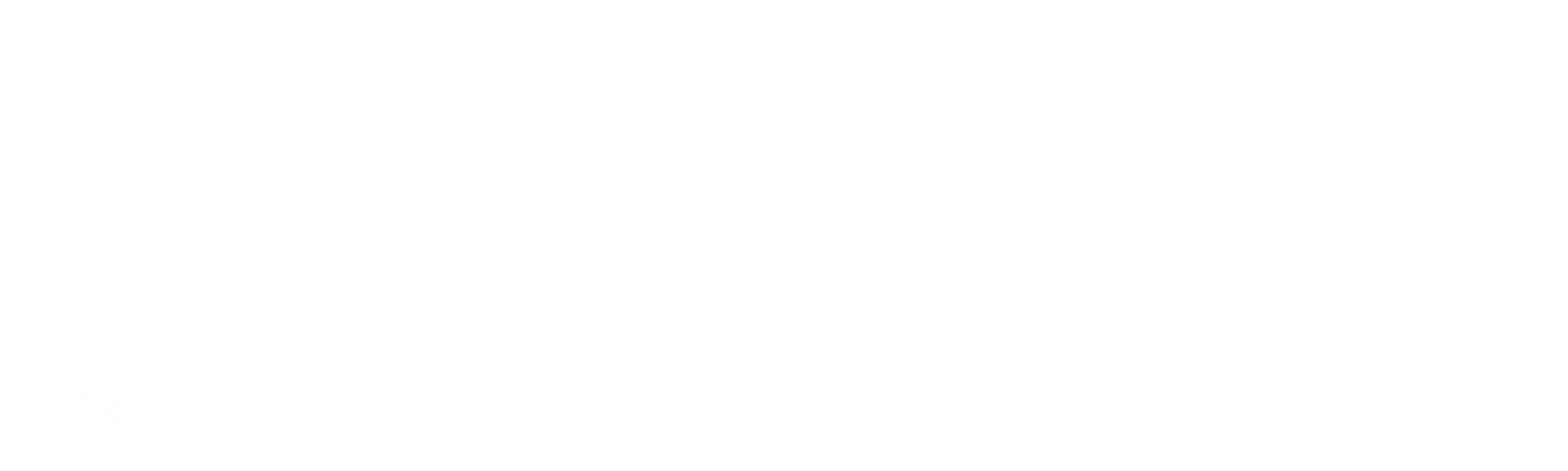 Un ours rejoint un chasseur dans un arbre