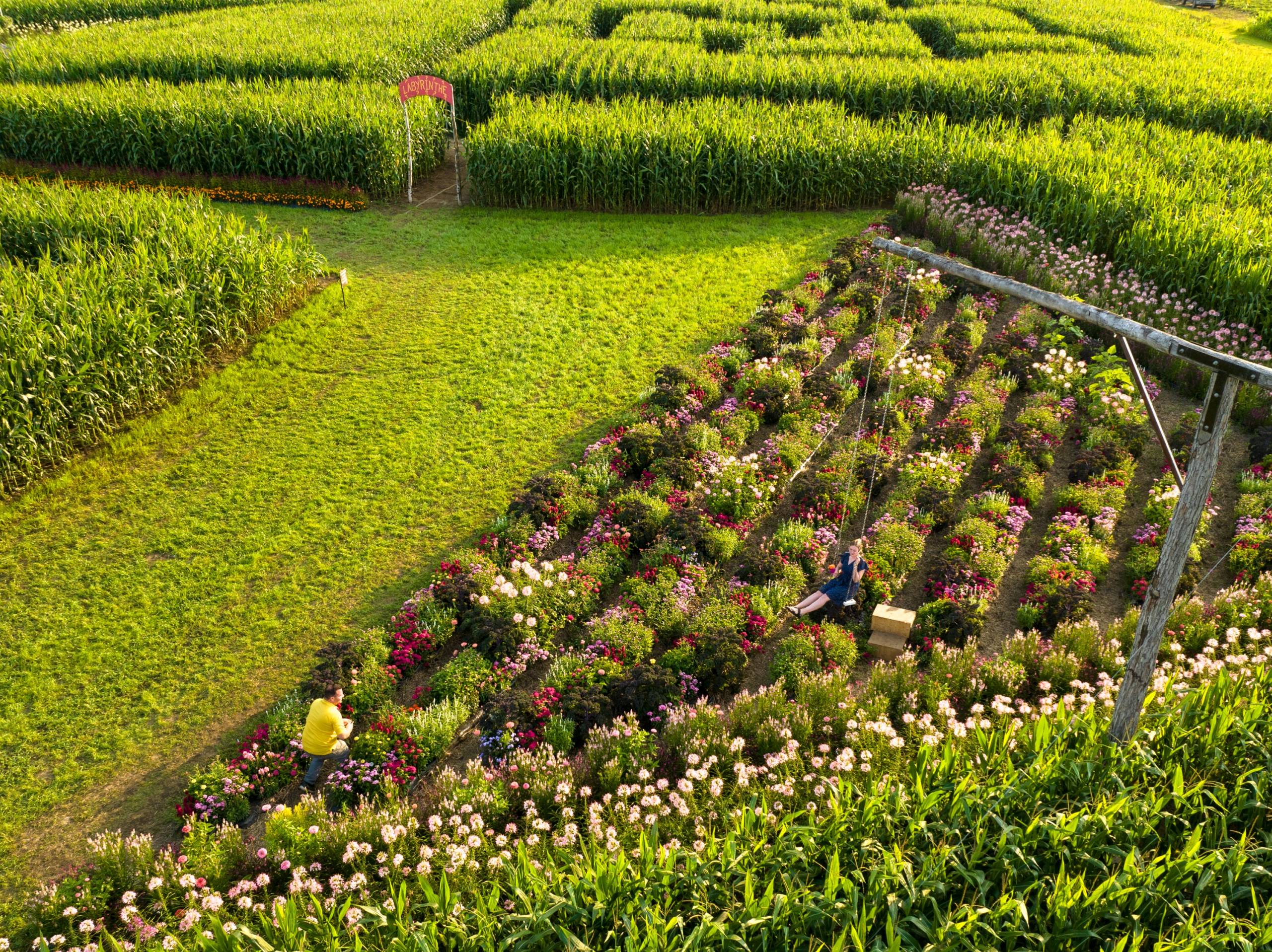 Un cornet de crème glacée de 5lb