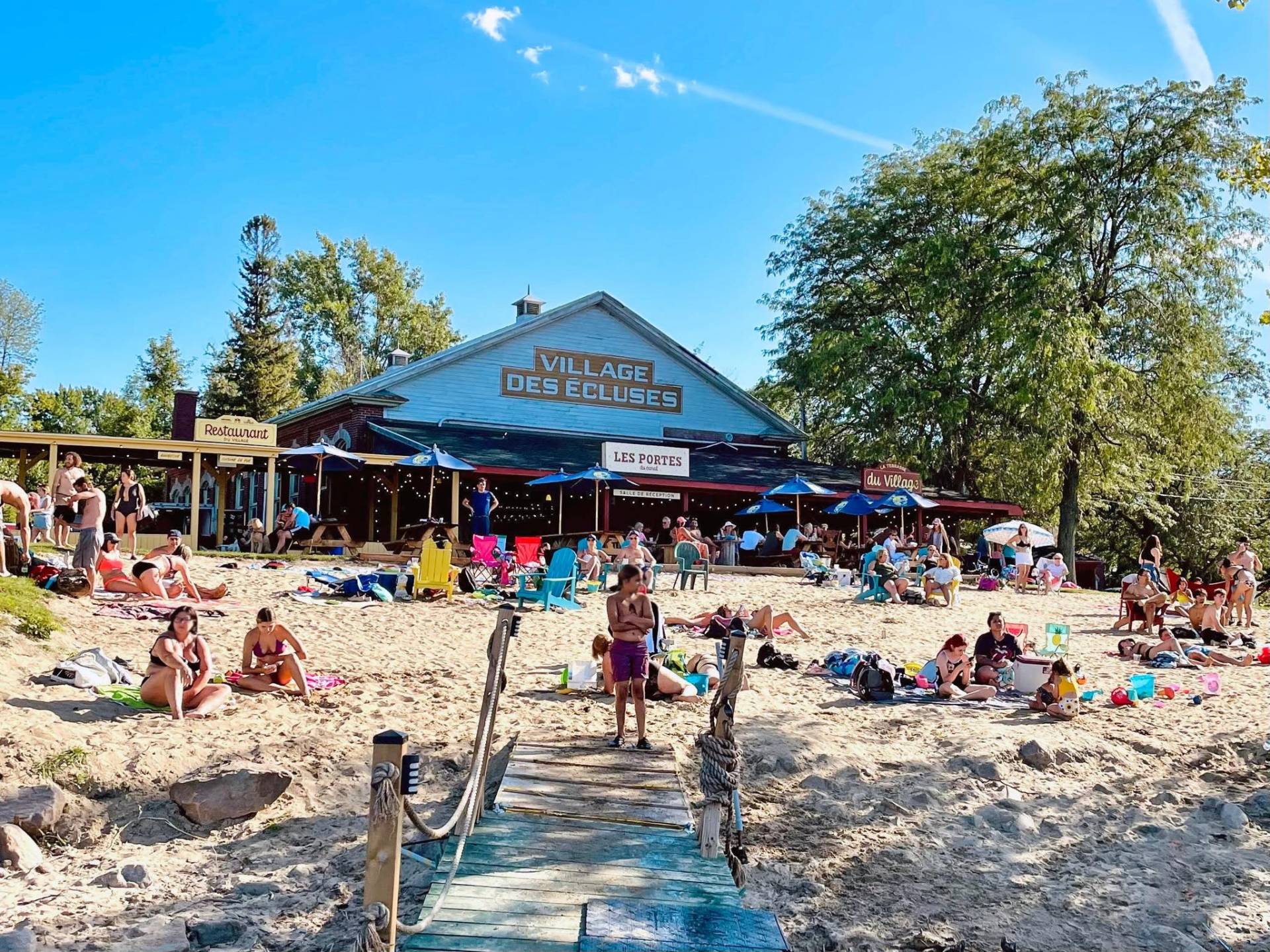 Un chat se pend la tête en bas pour boire de l’eau