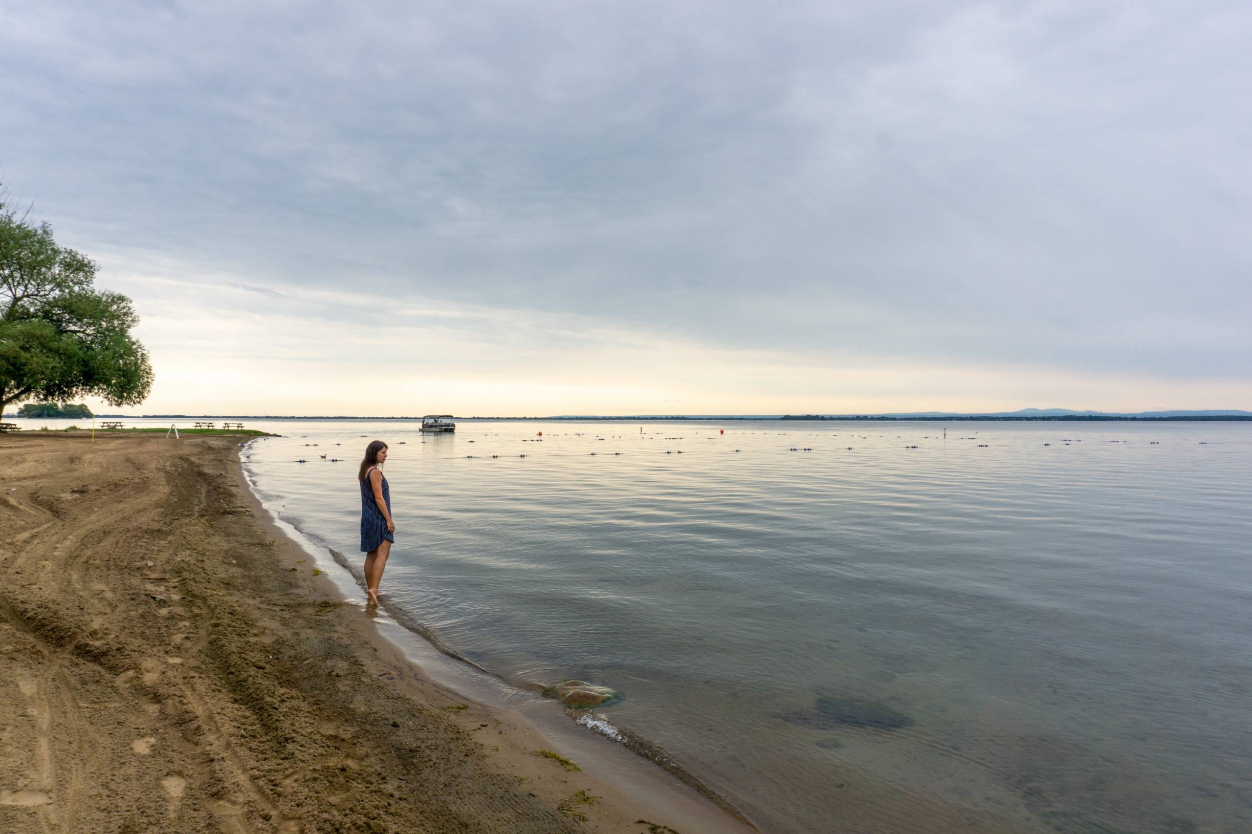 Un plongeur a une rencontre rapprochée avec un requin baleine