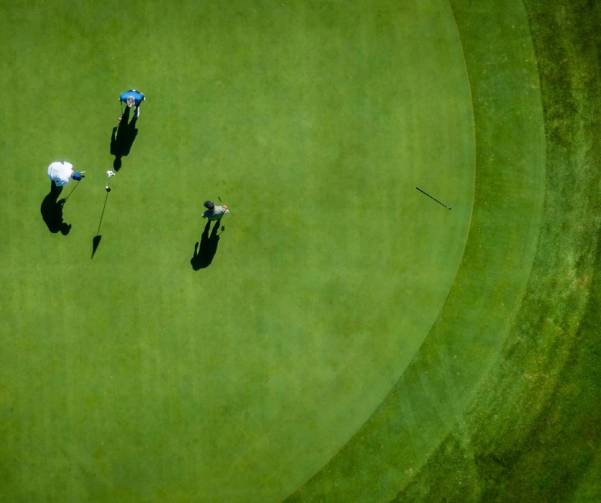 Le carlin tourne pour le dîner